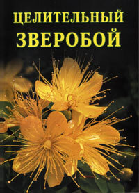 Обложка книги «Целительный зверобой»