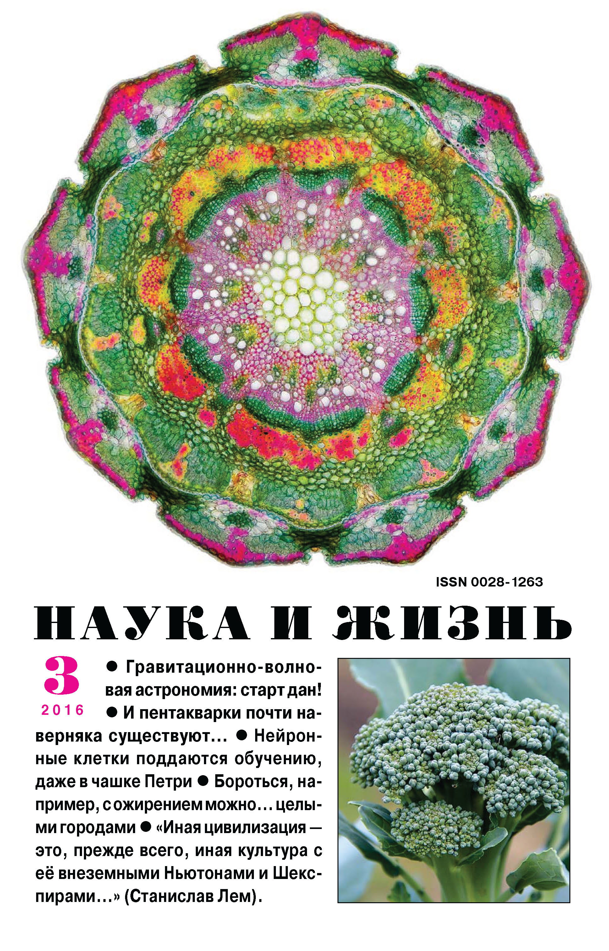 Обложка книги «Наука и жизнь №03/2016»