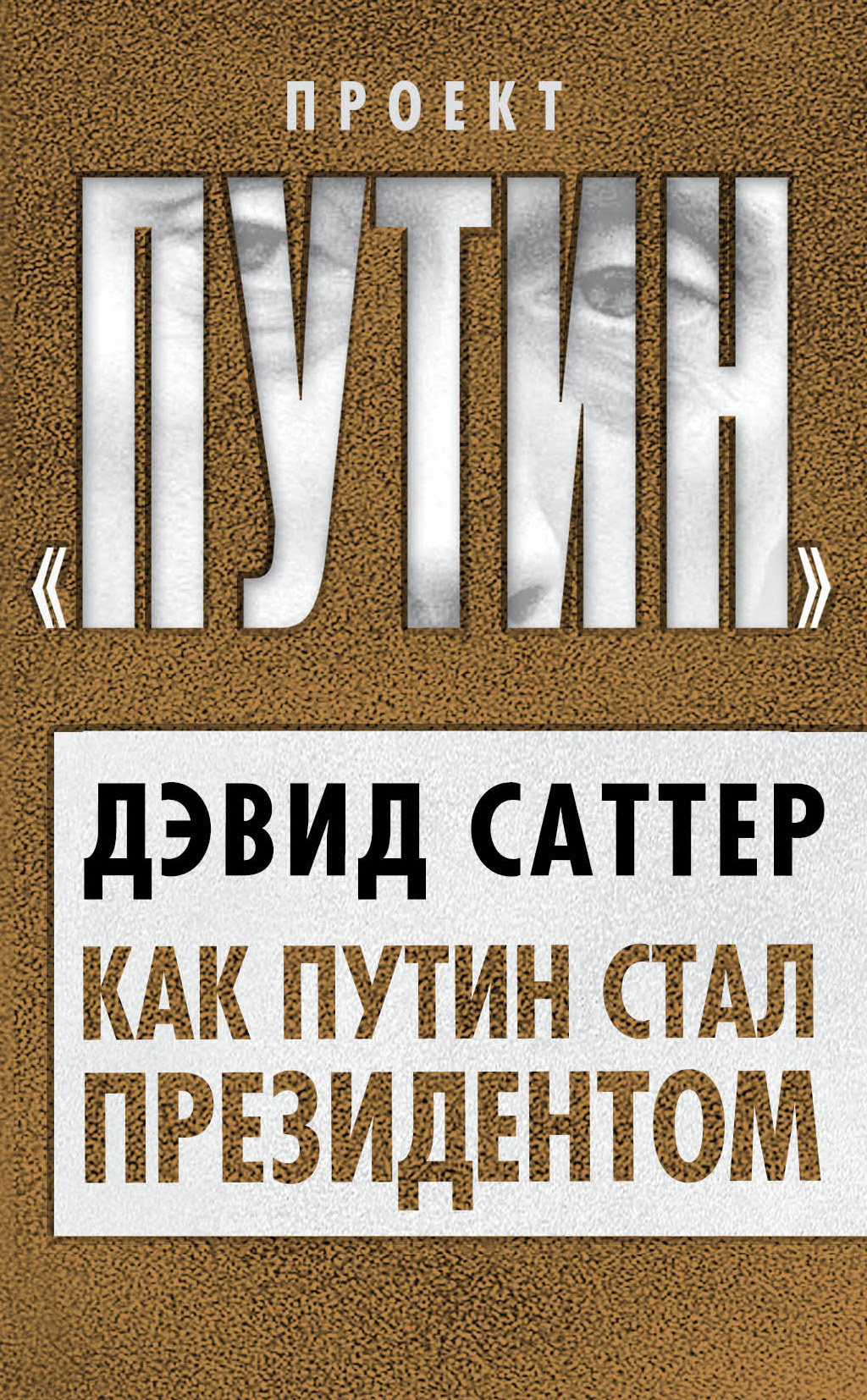 Обложка книги «Как Путин стал президентом»