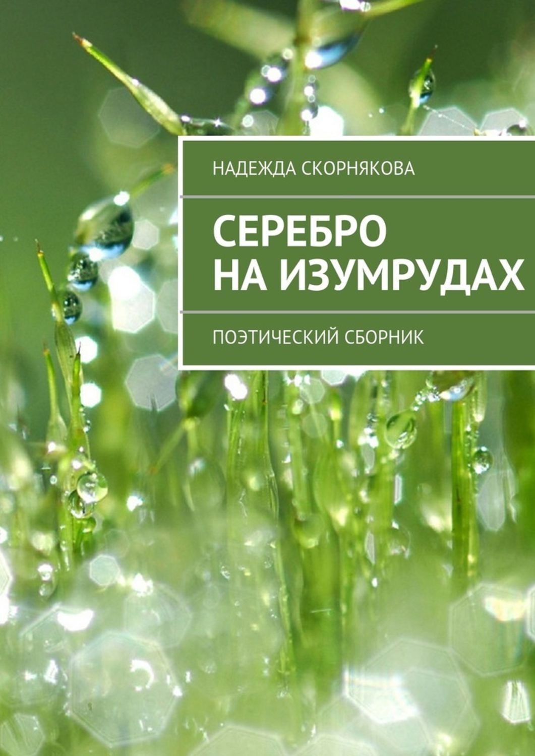 Обложка книги «Серебро на изумрудах»