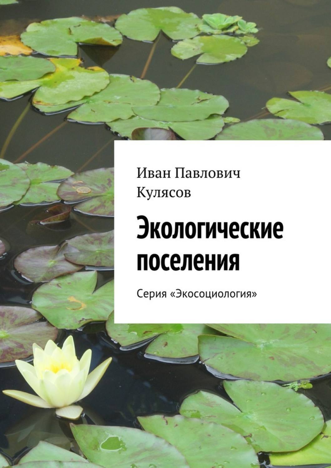Обложка книги «Экологические поселения. Серия «Экосоциология»»