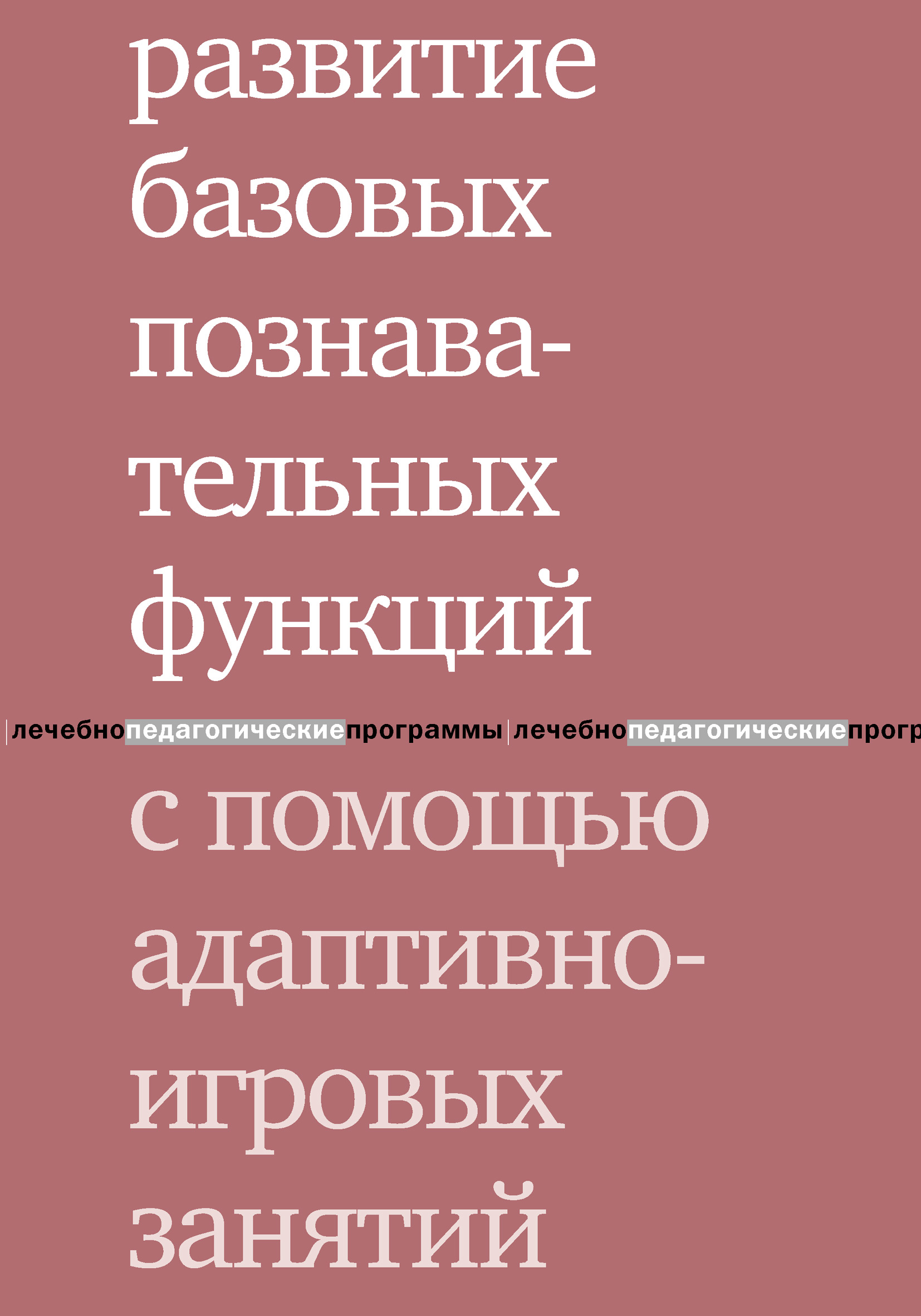 Обложка книги «Развитие базовых познавательных функций с помощью адаптивно-игровых занятий»