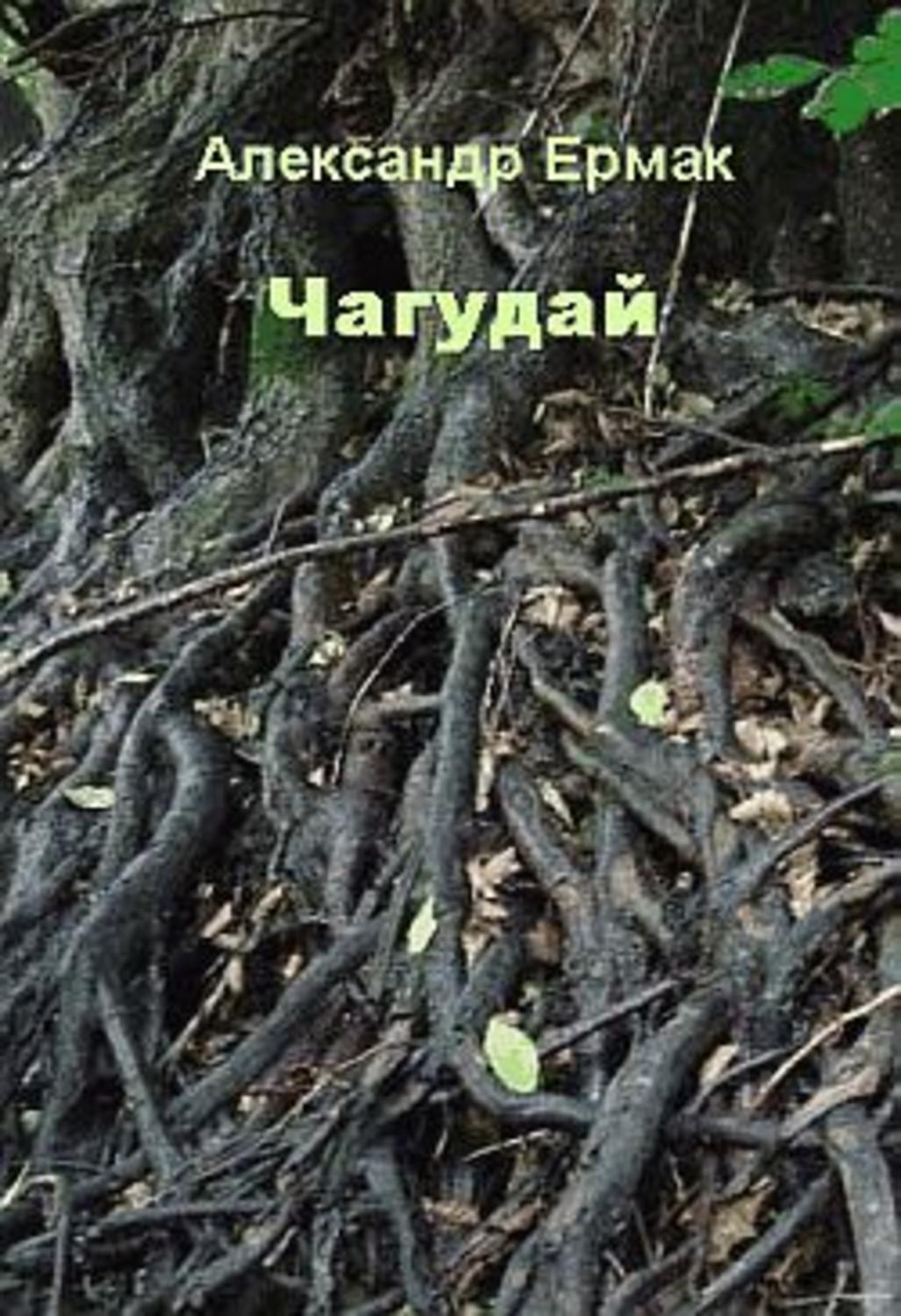 Обложка книги «Чагудай»
