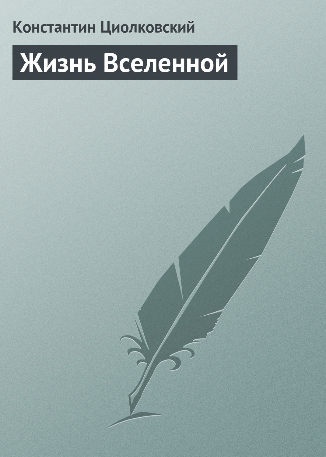 Обложка книги «Жизнь Вселенной»