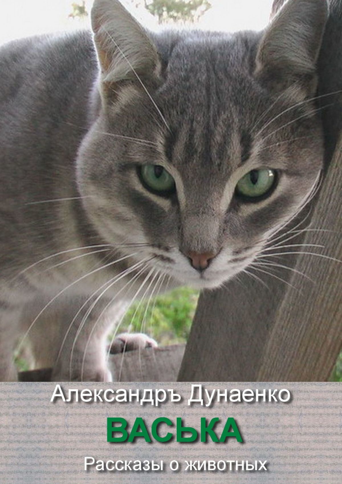 Обложка книги «Васька. Рассказы о животных»