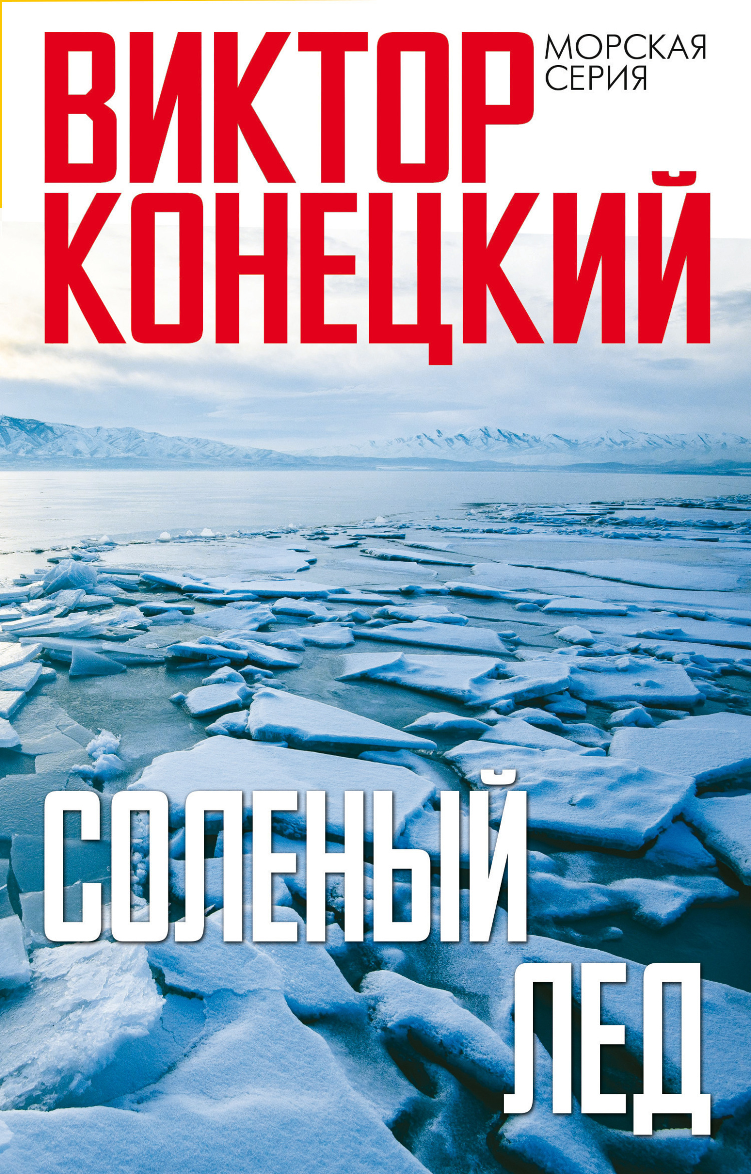 Обложка книги «Солёный лёд»