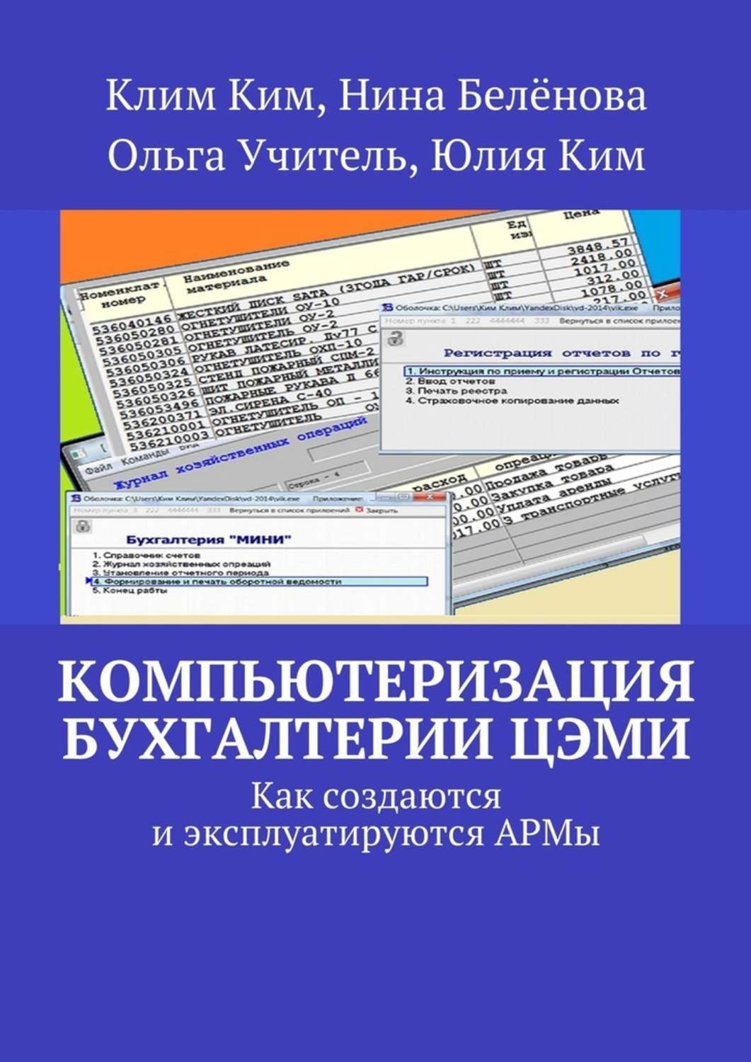 Обложка книги «Компьютеризация бухгалтерии ЦЭМИ – теория и практика»