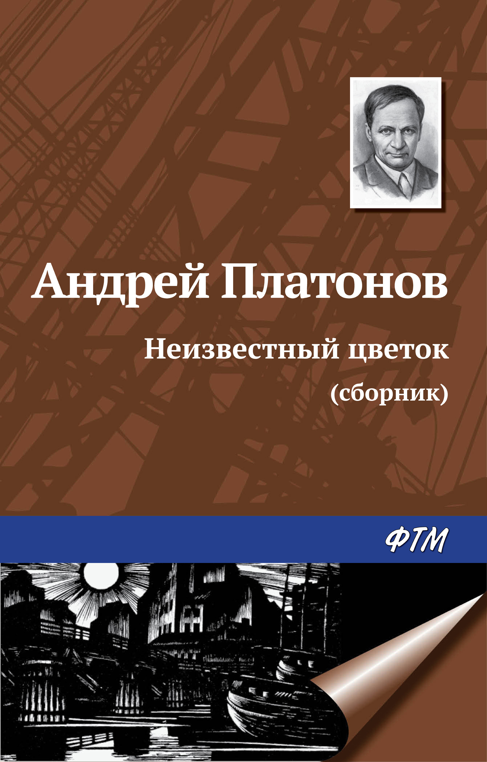 Обложка книги «Неизвестный цветок (сборник)»