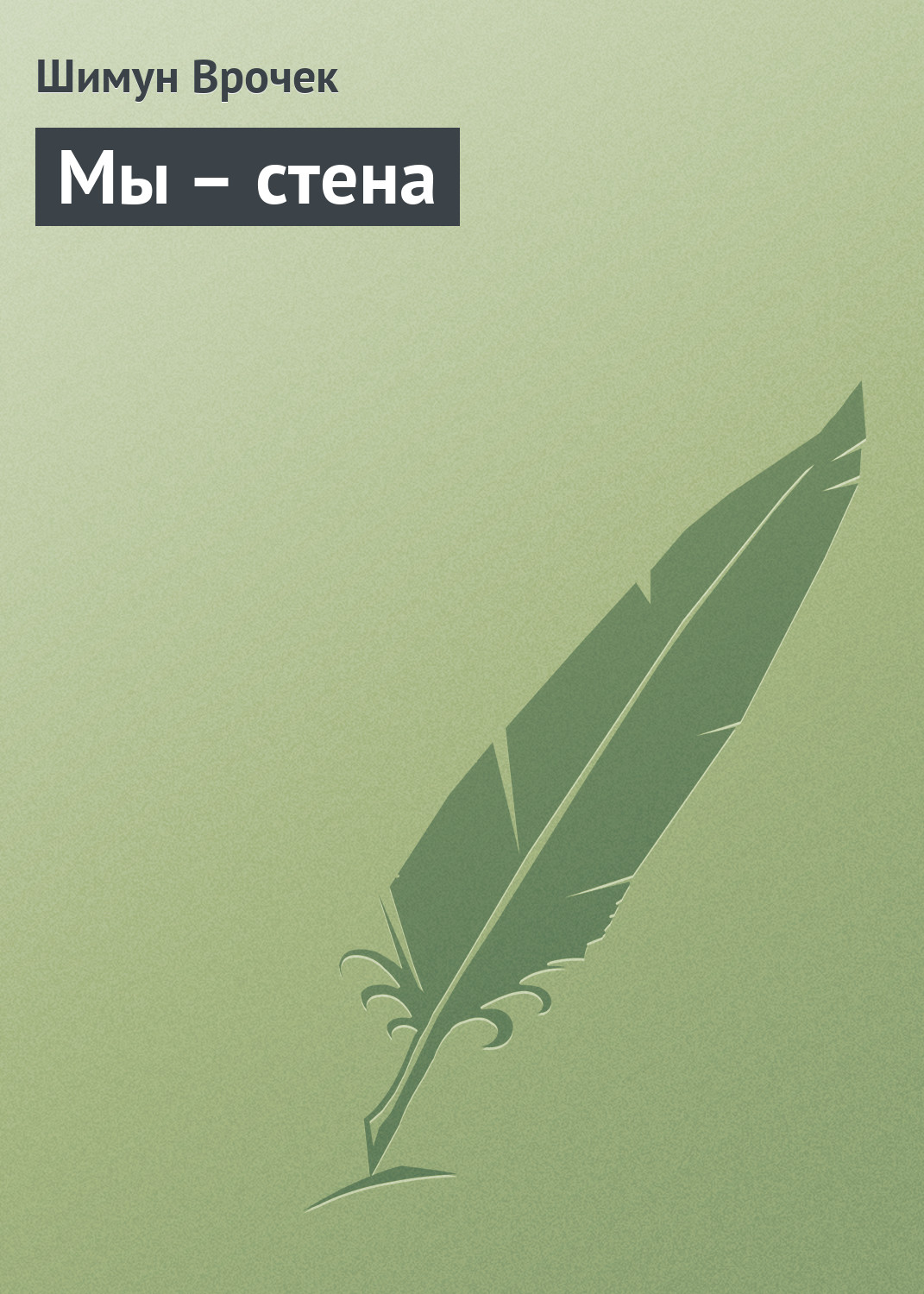 Обложка книги «Мы – стена»