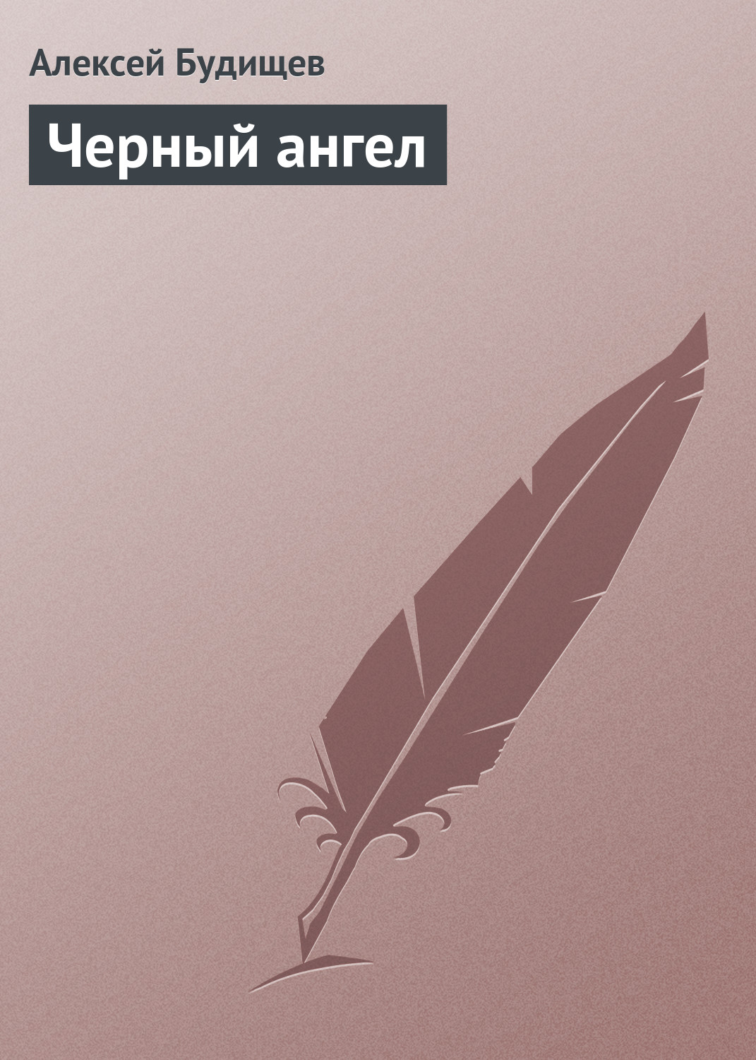 Обложка книги «Черный ангел»