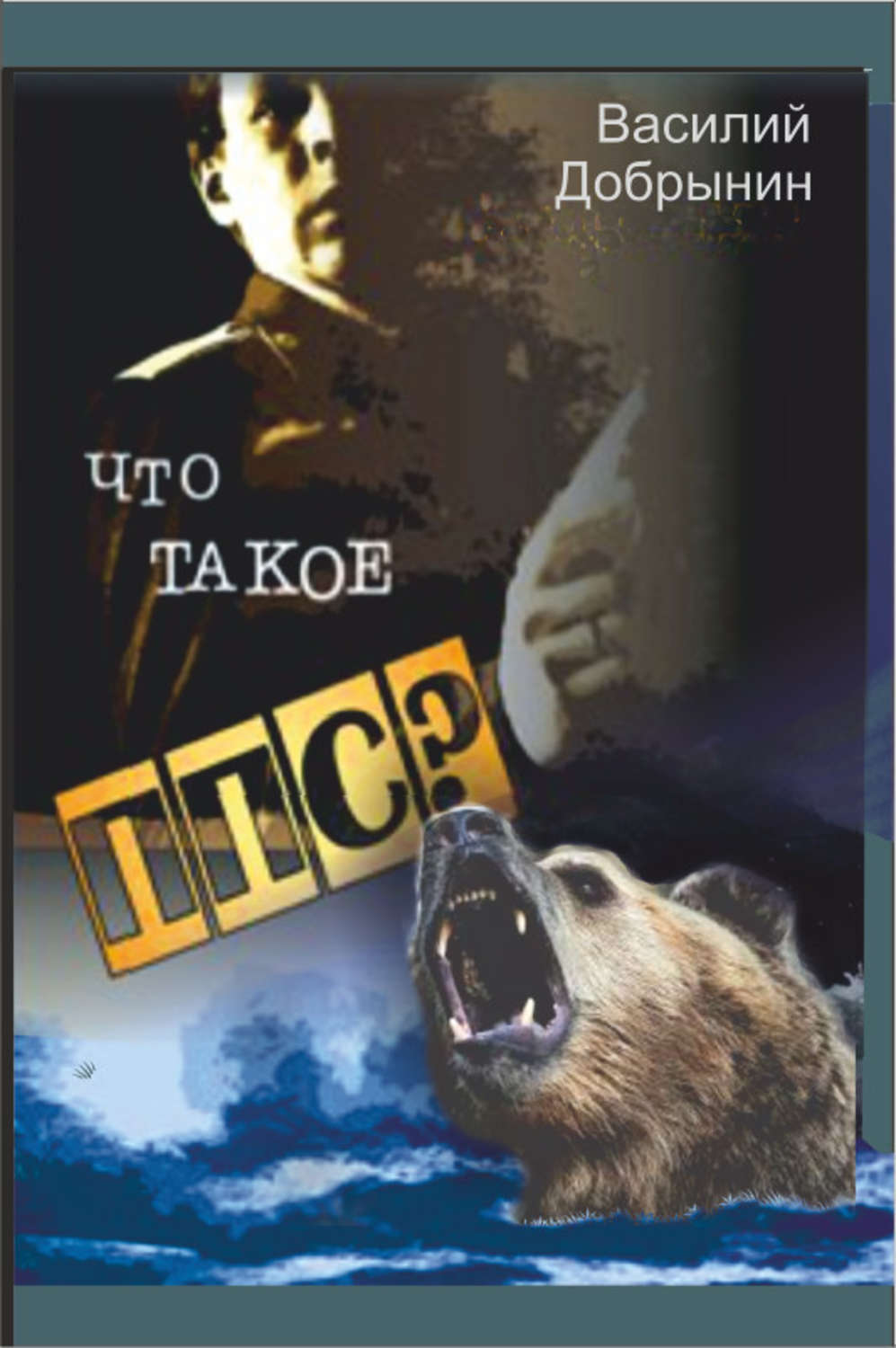 Обложка книги «Что такое ППС?»