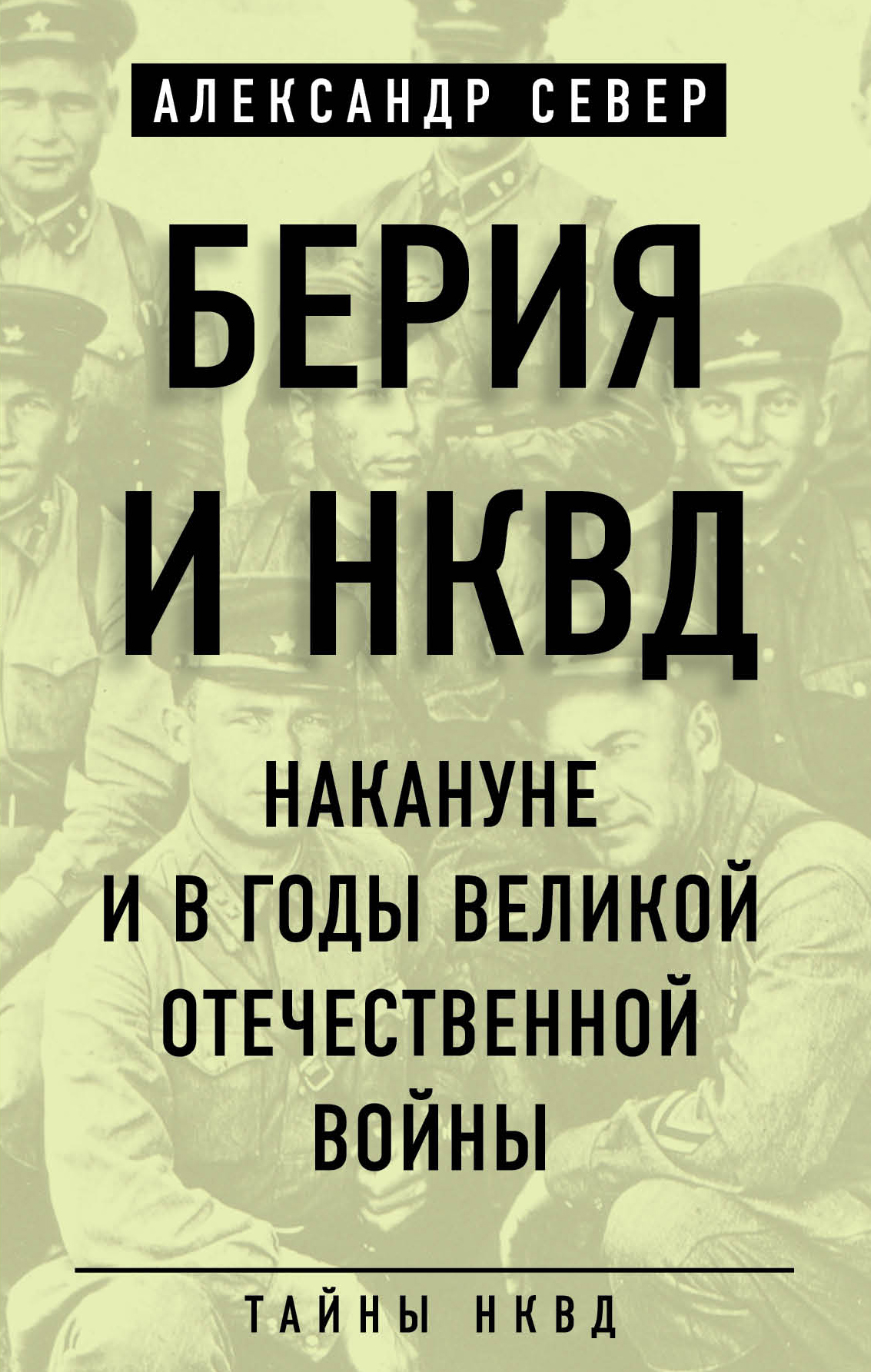 Обложка книги «Берия и НКВД накануне и в годы Великой Отечественной войны»