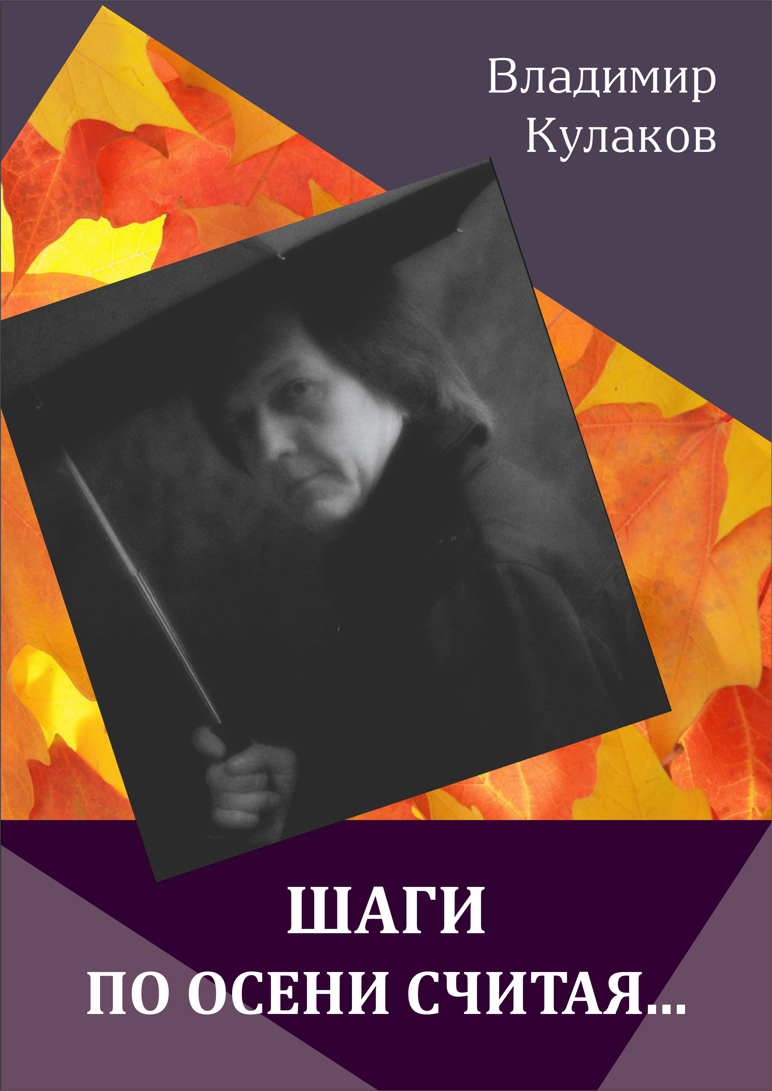 Обложка книги «Шаги по осени считая… (сборник)»