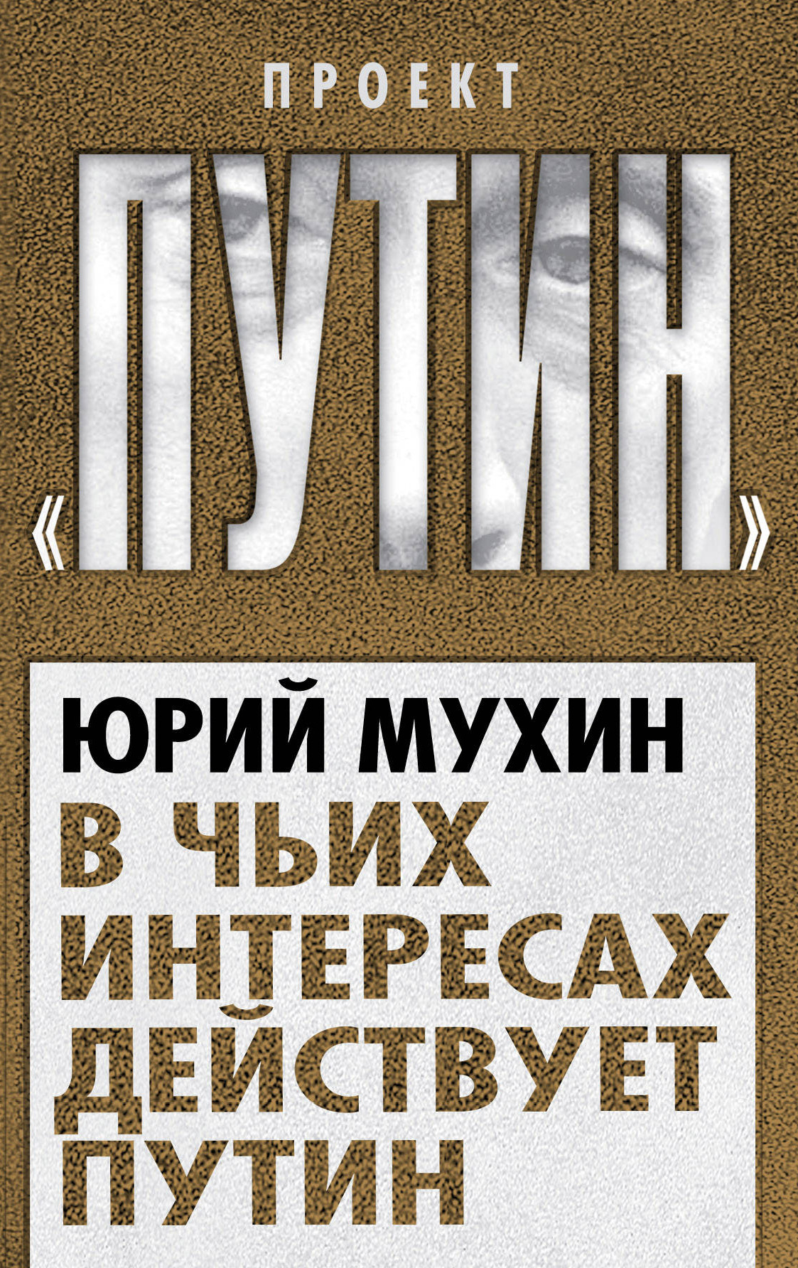 Обложка книги «В чьих интересах действует Путин»
