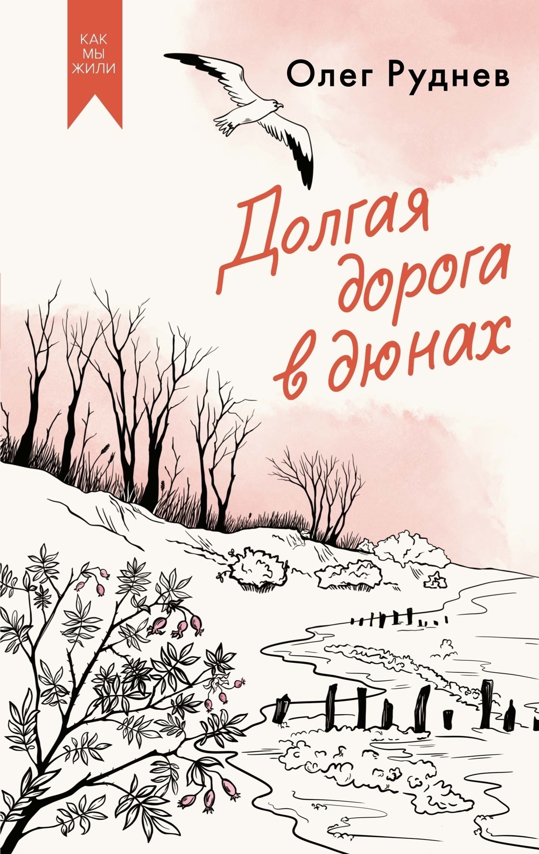 Обложка книги «Долгая дорога в дюнах»