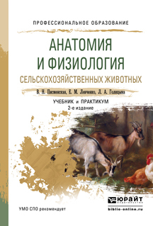 Обложка книги «Анатомия и физиология сельскохозяйственных животных 2-е изд., испр. и доп. Учебник и практикум для СПО»