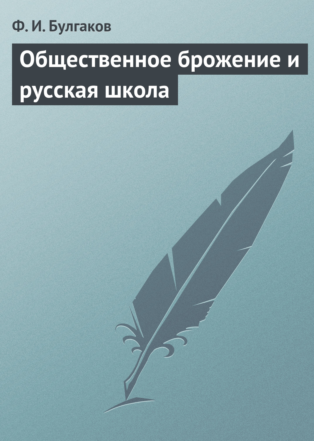 Обложка книги «Общественное брожение и русская школа»