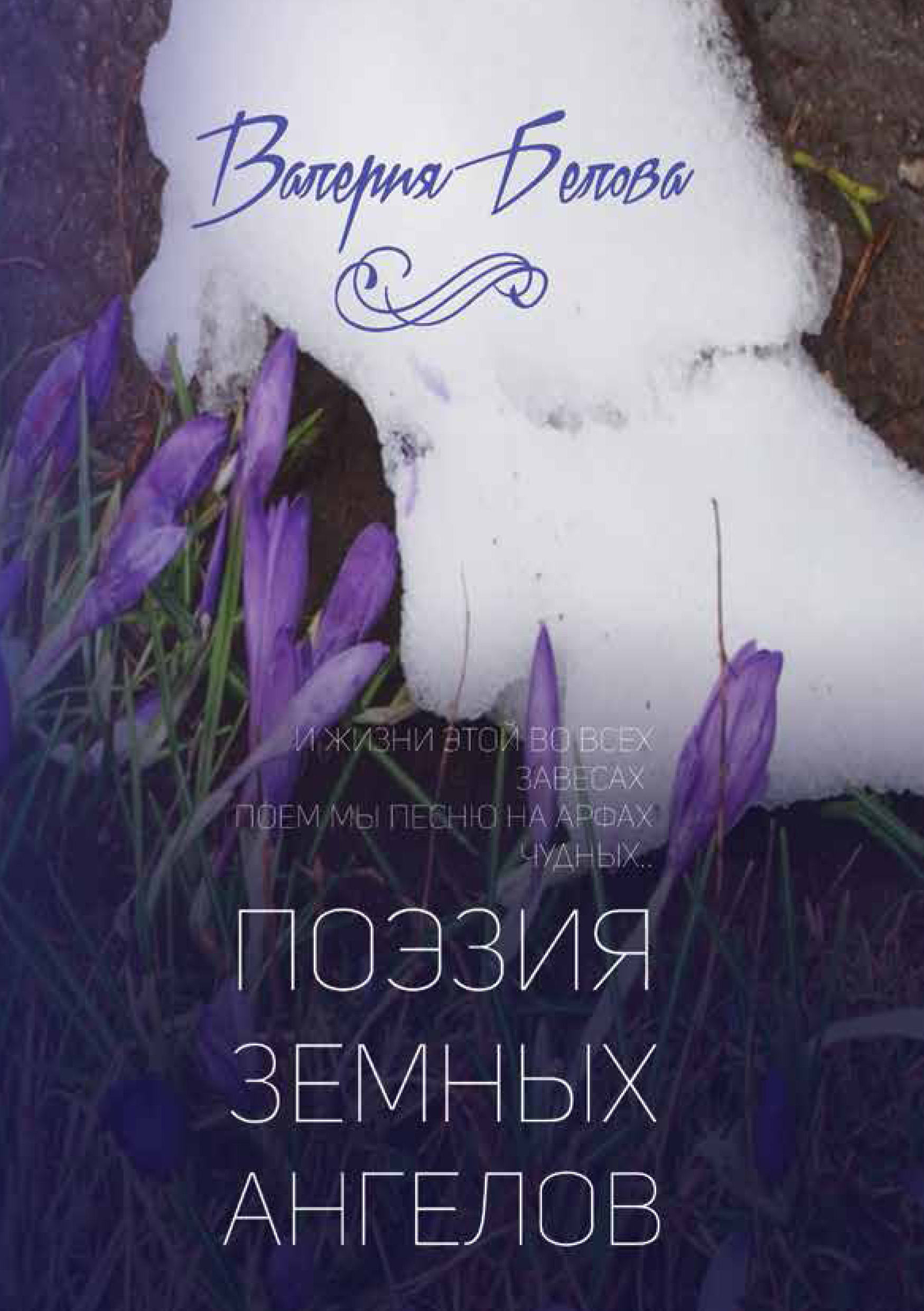 Обложка книги «Поэзия земных ангелов»