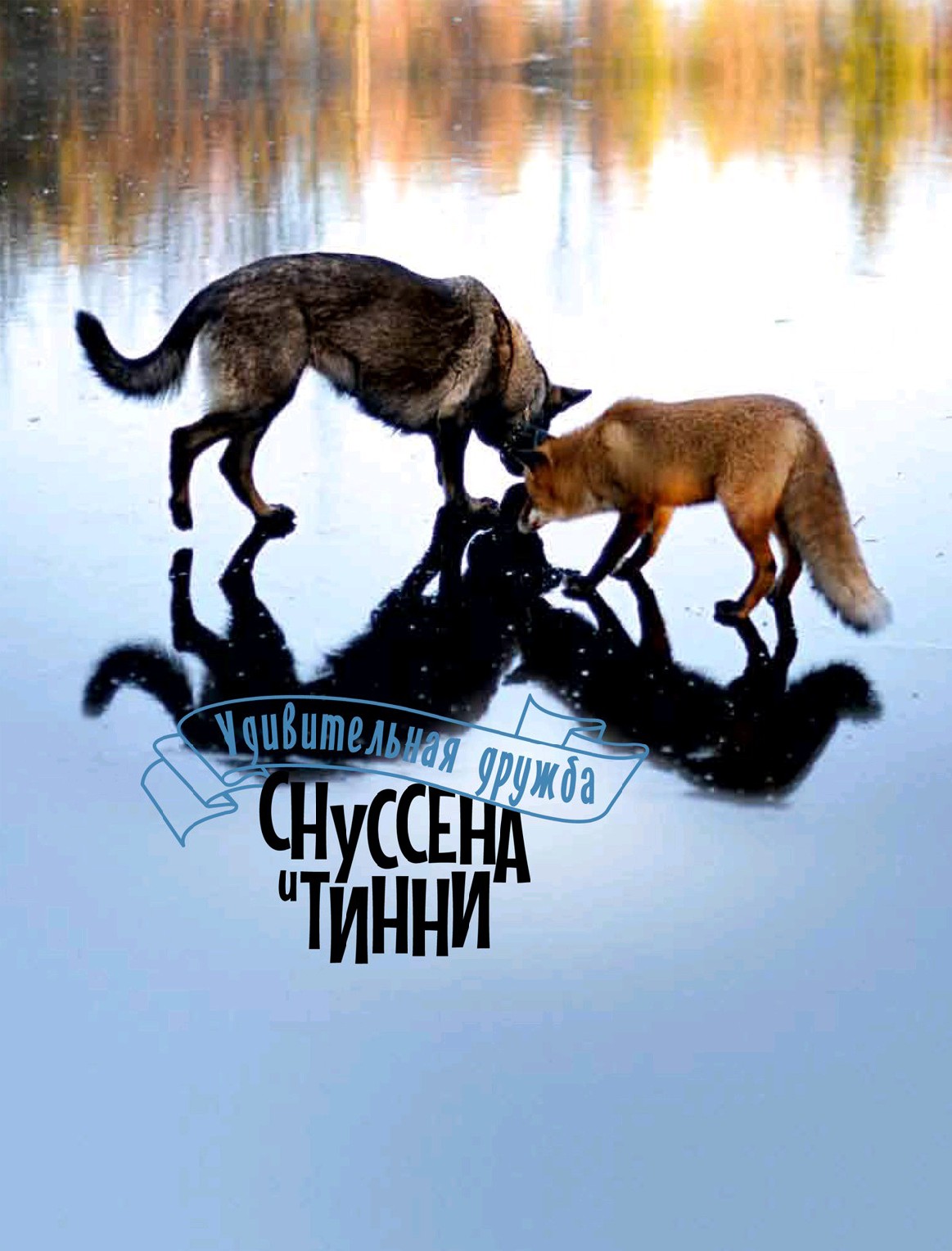 Обложка книги «Удивительная дружба Снуссена и Тинни»