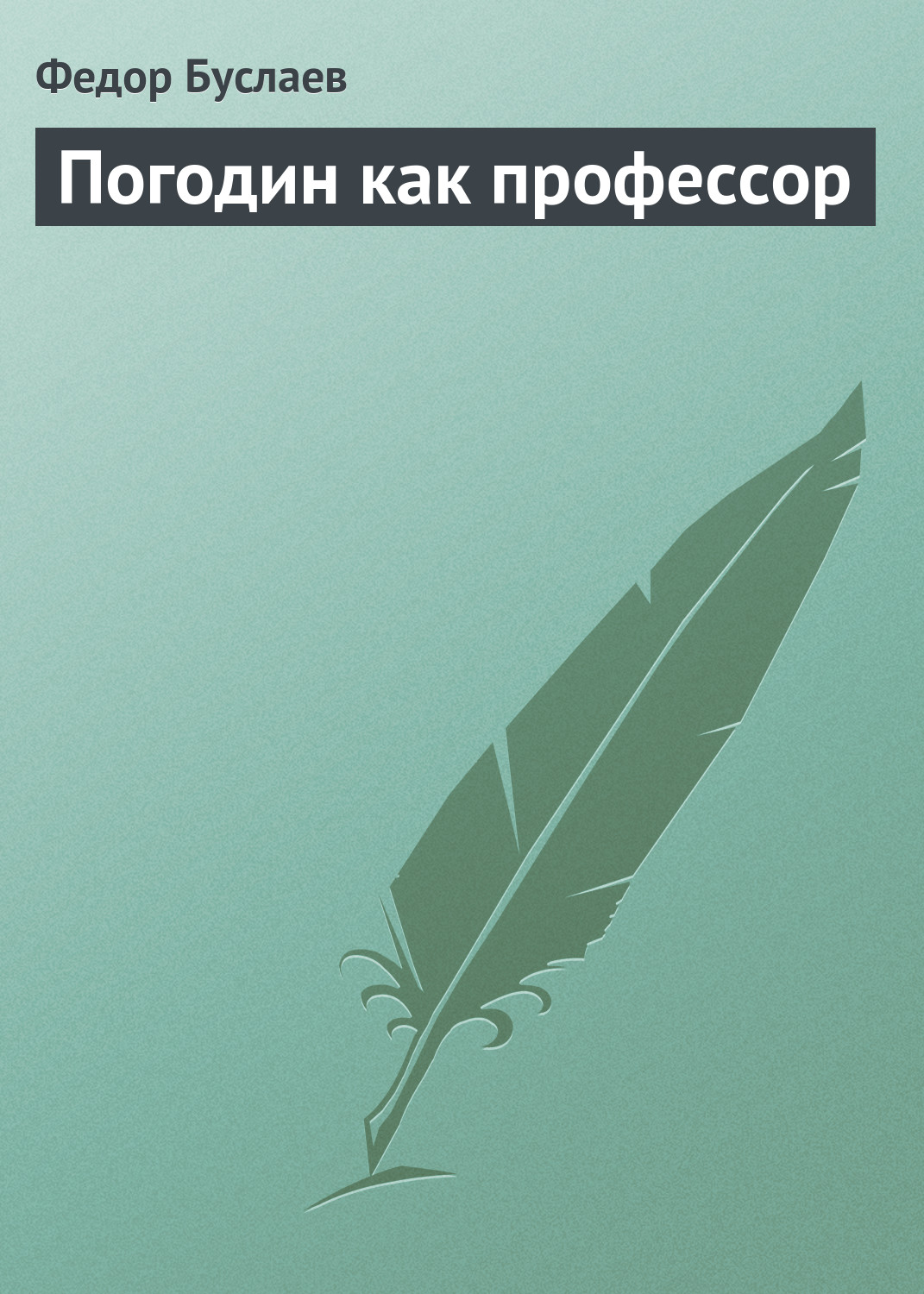 Обложка книги «Погодин как профессор»