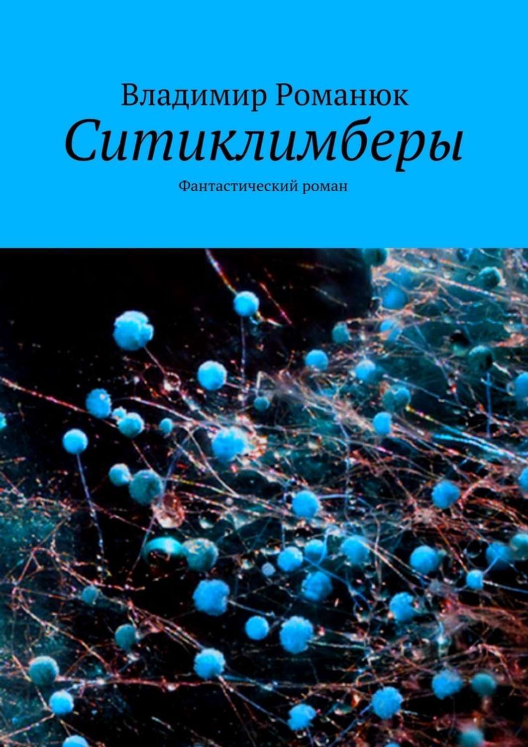 Обложка книги «Ситиклимберы. Фантастический роман»
