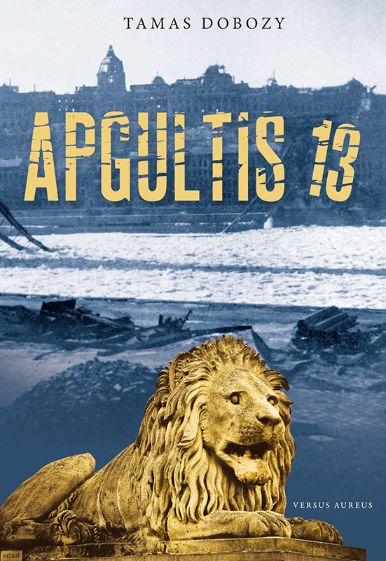 Обложка книги «Apgultis 13»