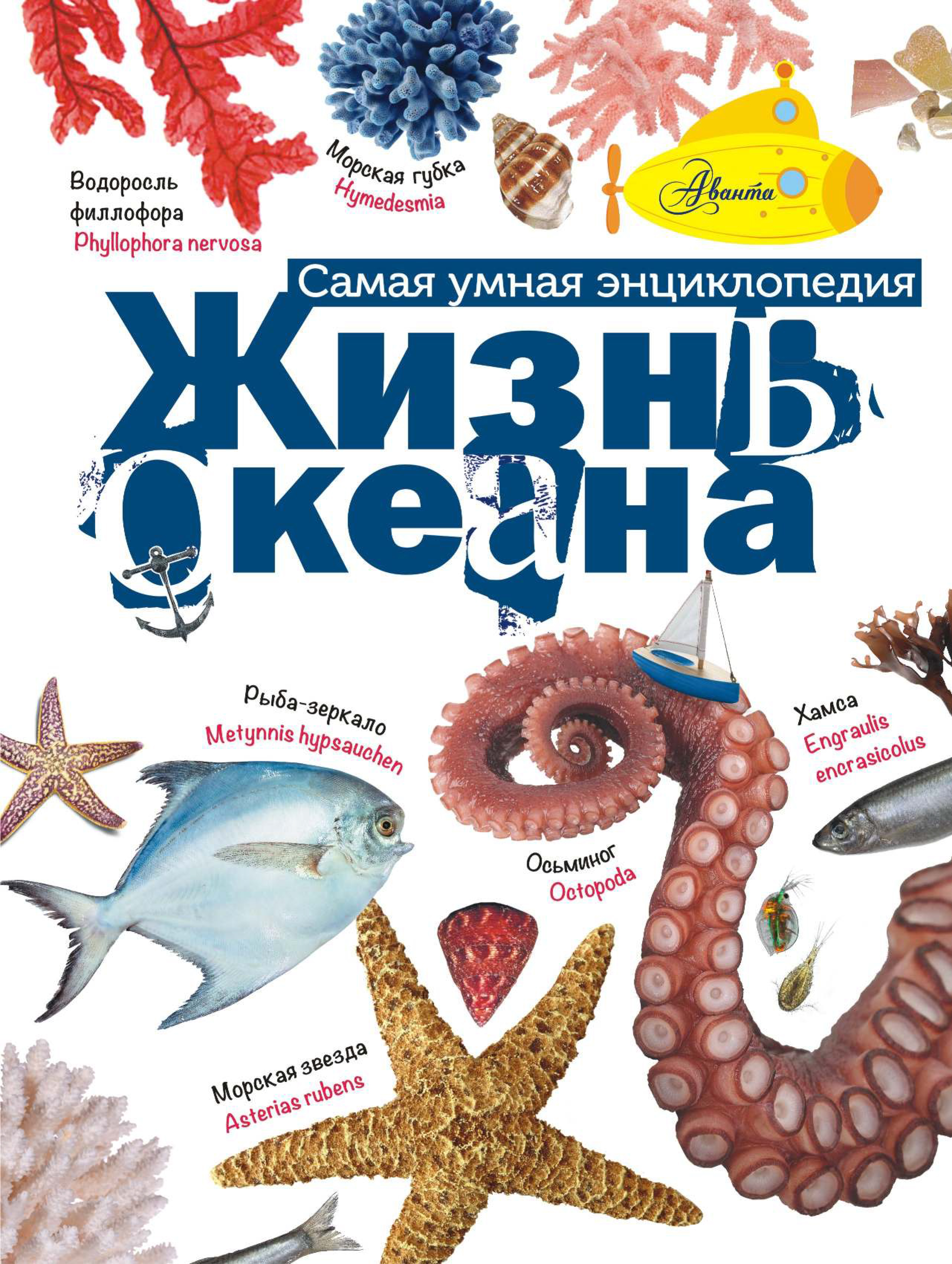 Обложка книги «Жизнь океана»