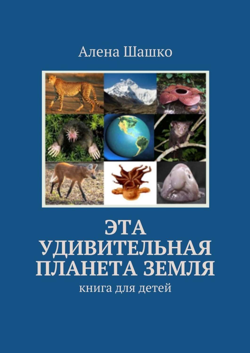 Обложка книги «Эта удивительная планета Земля. Книга для детей»