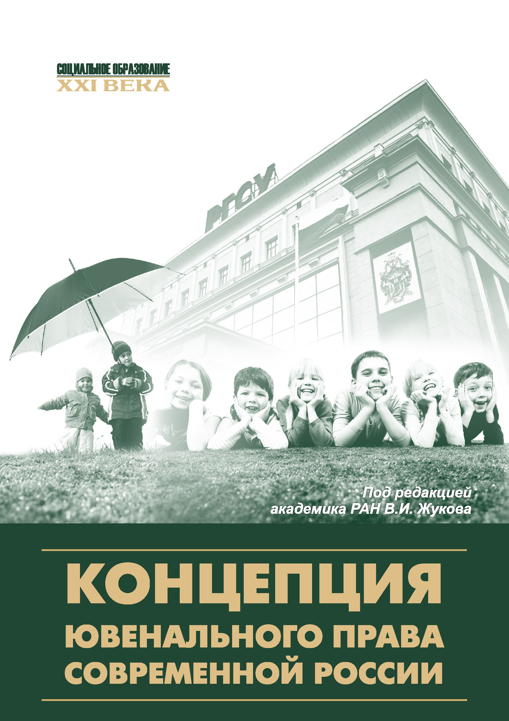 Обложка книги «Концепция ювенального права современной России»