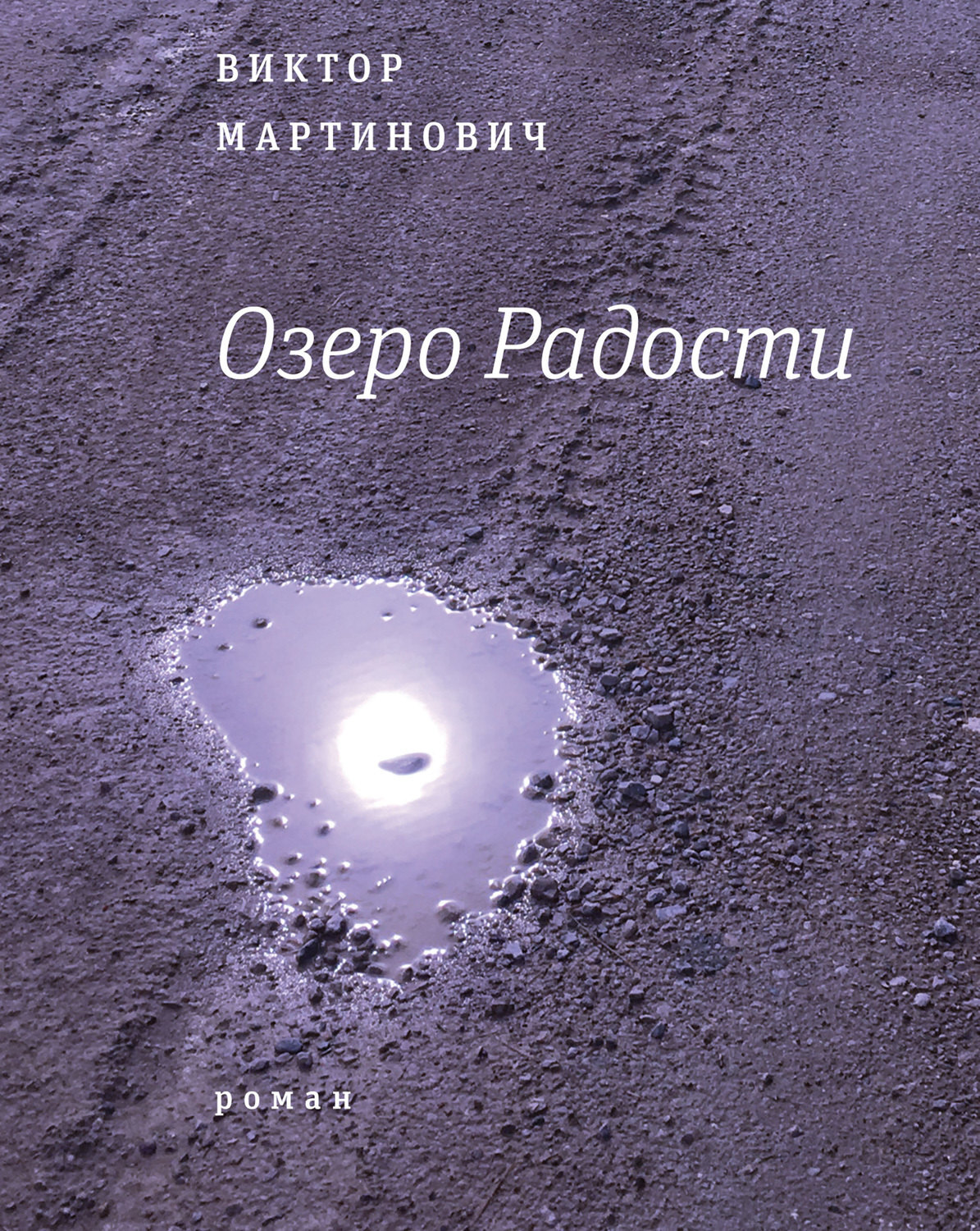 Обложка книги «Озеро Радости: Роман»