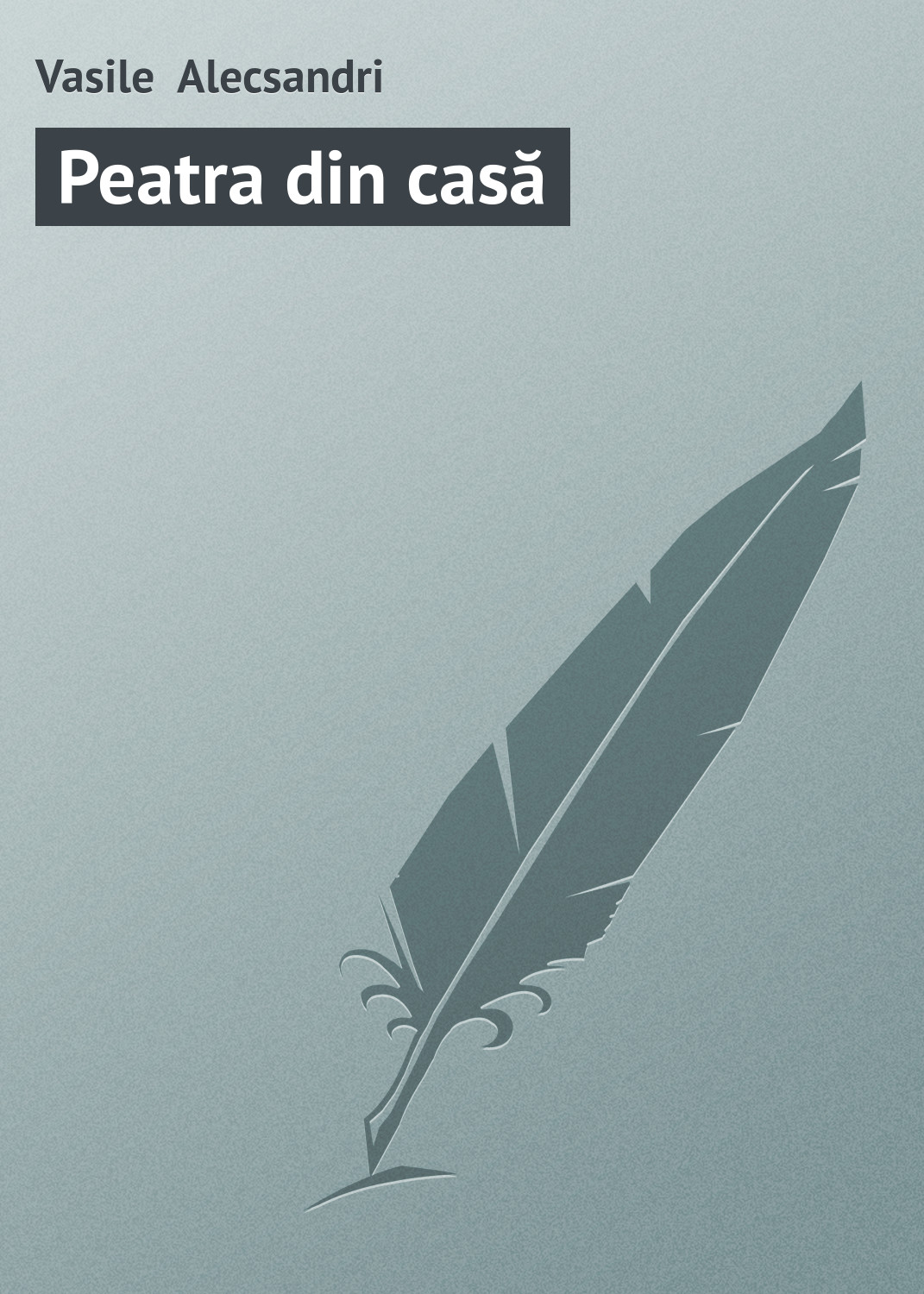 Обложка книги «Peatra din casă»