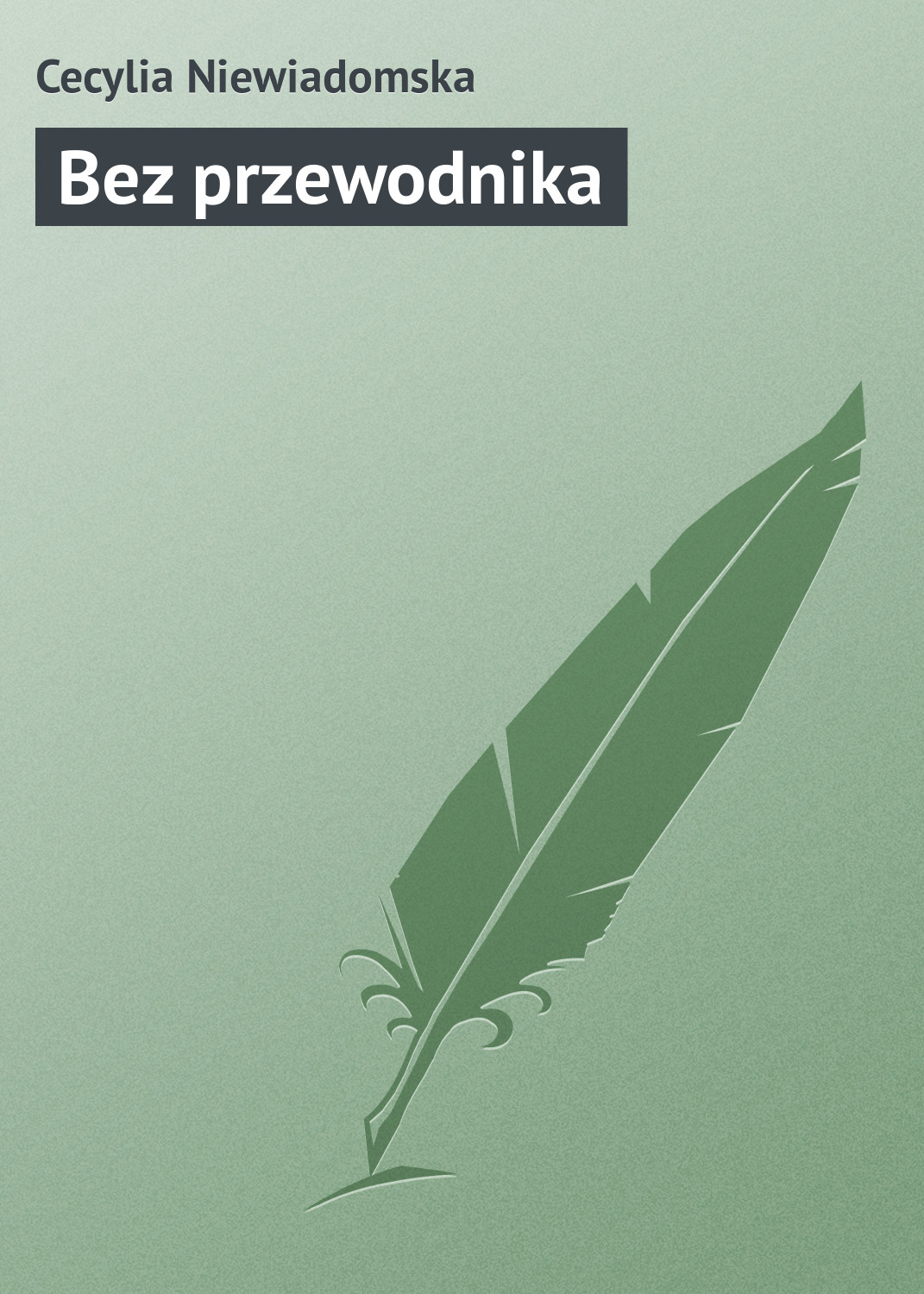 Обложка книги «Bez przewodnika»