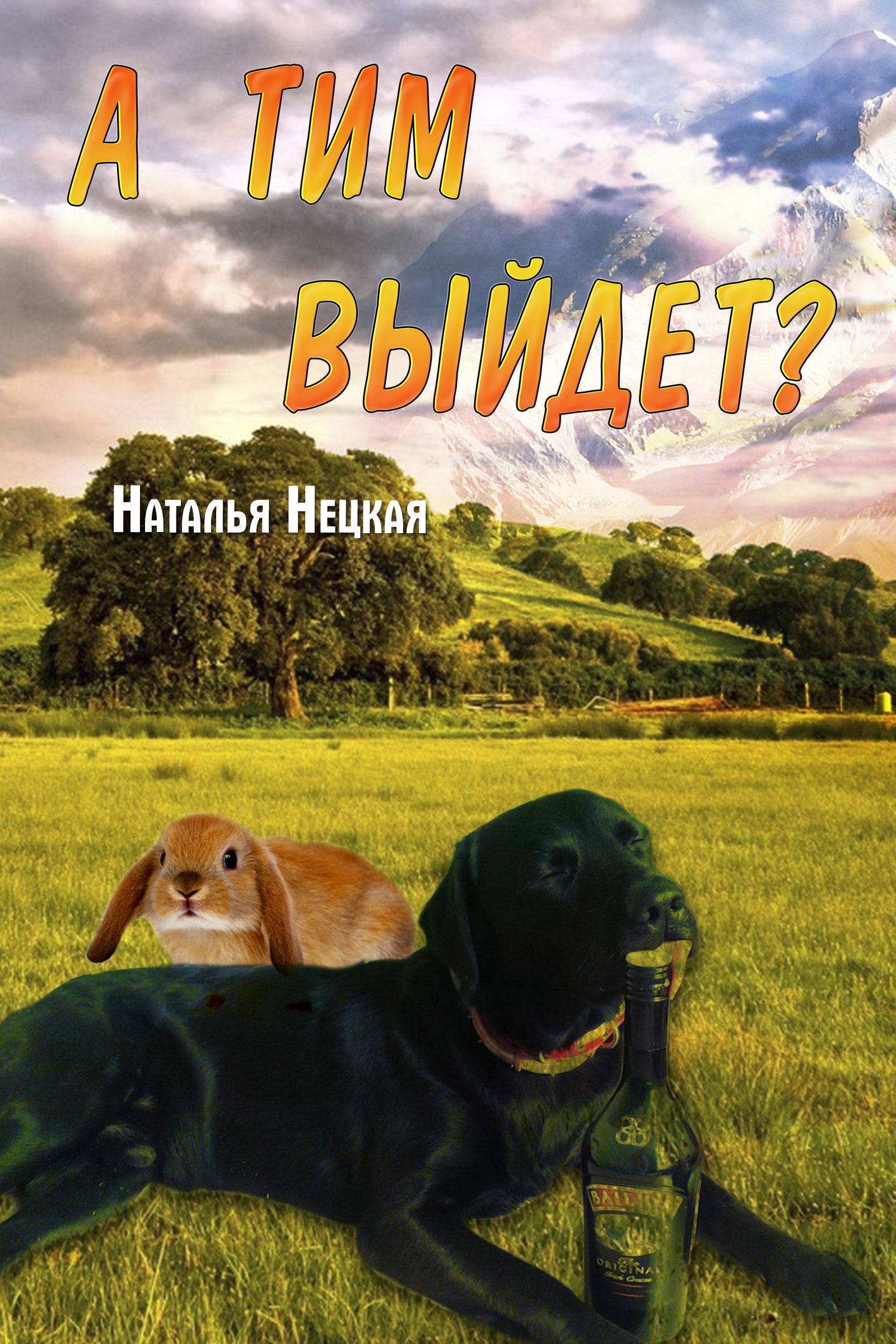 Обложка книги «А Тим выйдет?»