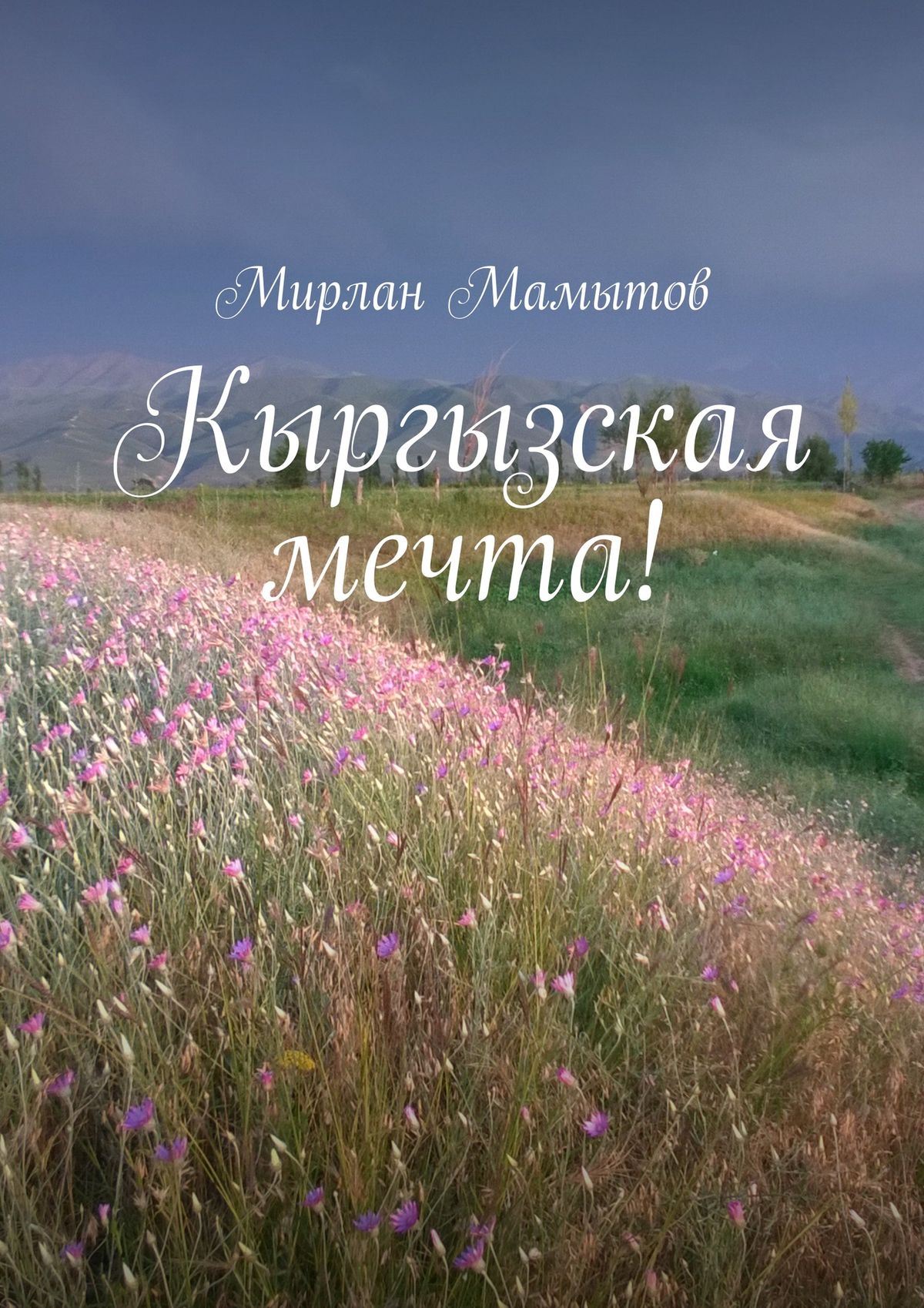 Обложка книги «Кыргызская мечта!»