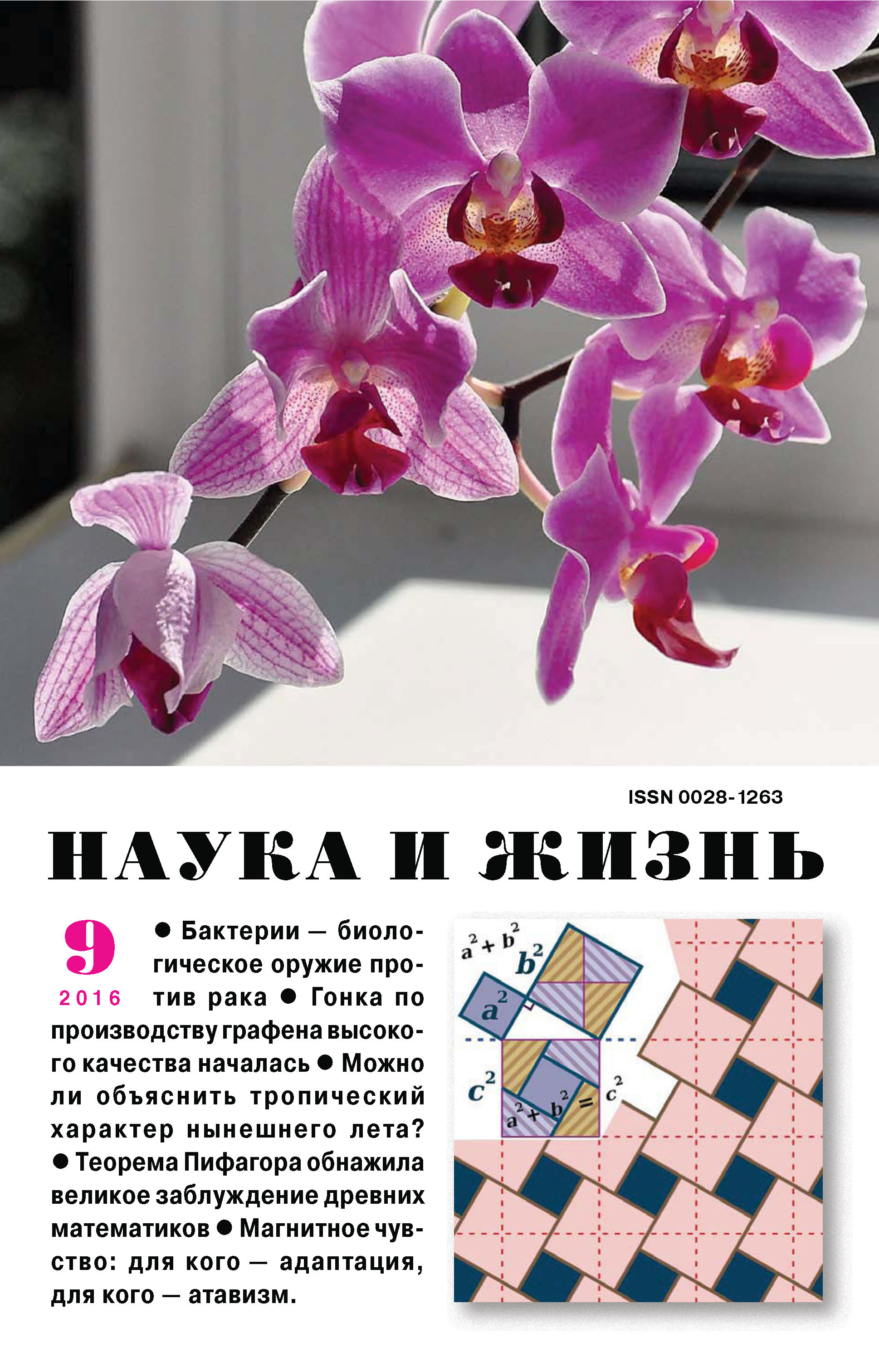 Обложка книги «Наука и жизнь №09/2016»