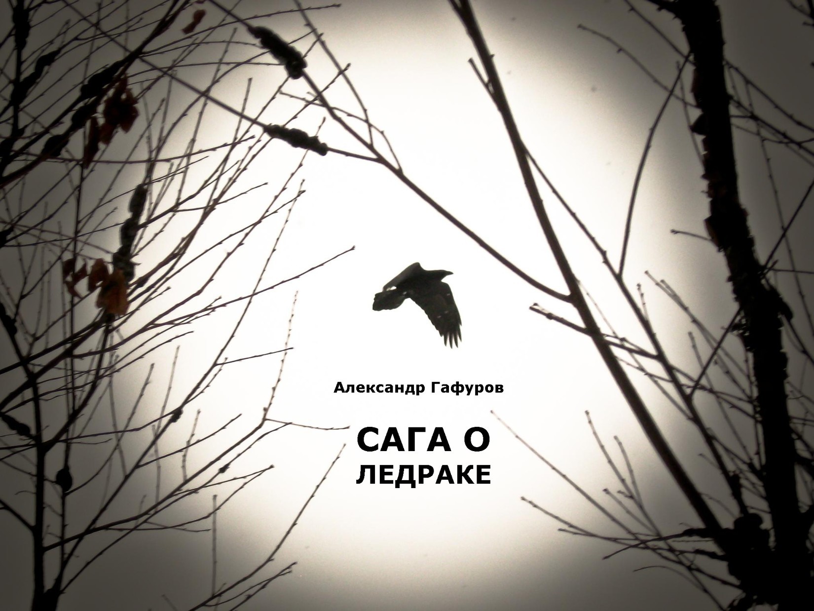Обложка книги «Сага о Ледраке»