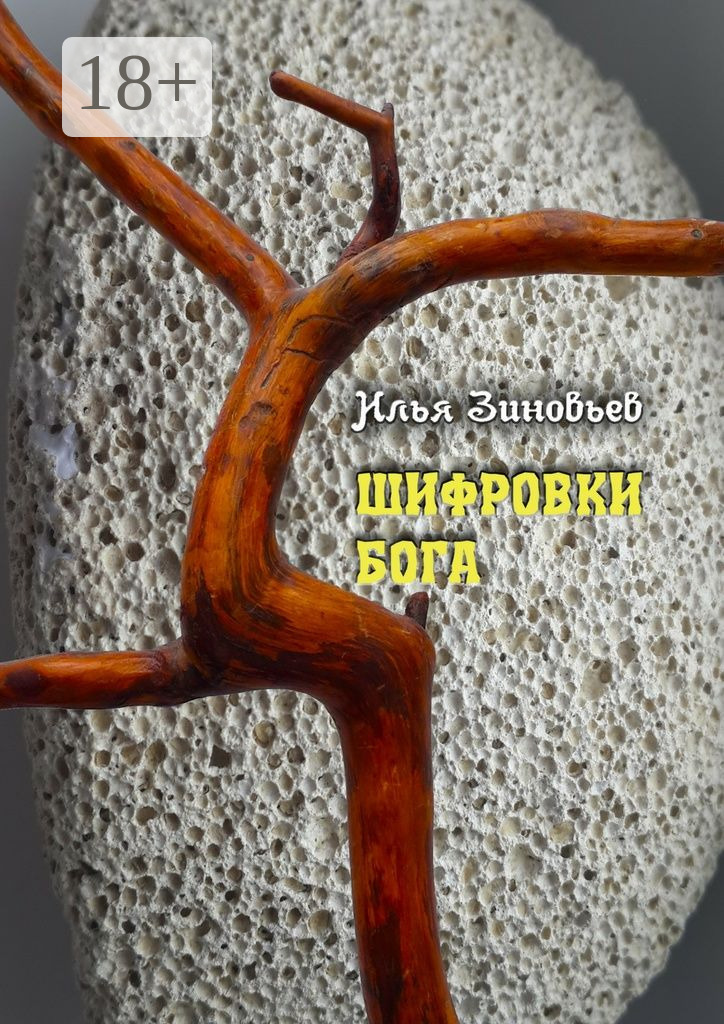 Обложка книги «ШИФРОВКИ БОГА»