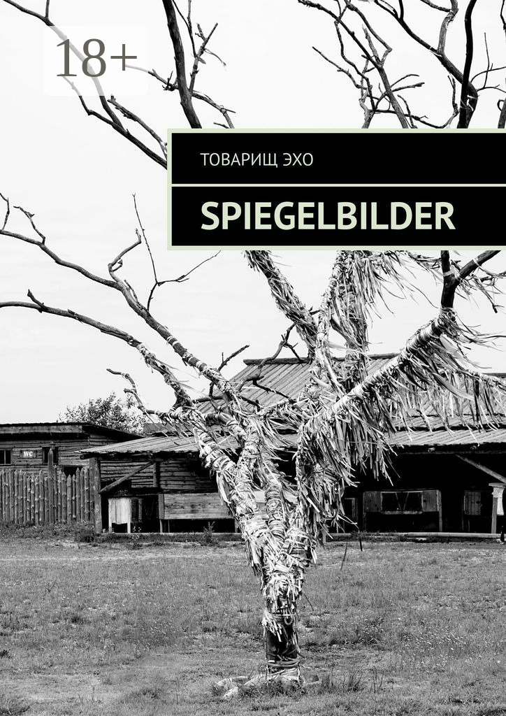 Обложка книги «Spiegelbilder»