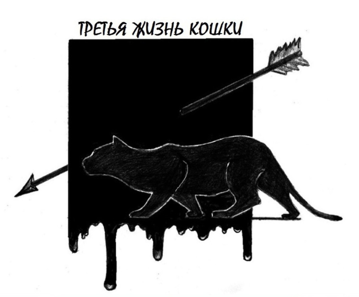 Обложка книги «Третья жизнь кошки»