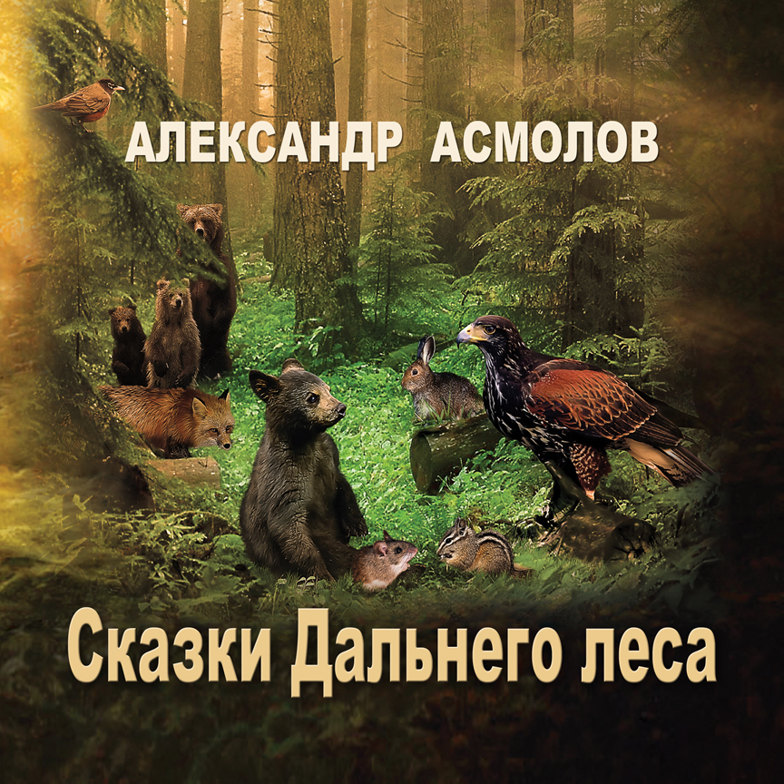 Обложка книги «Сказки Дальнего леса»