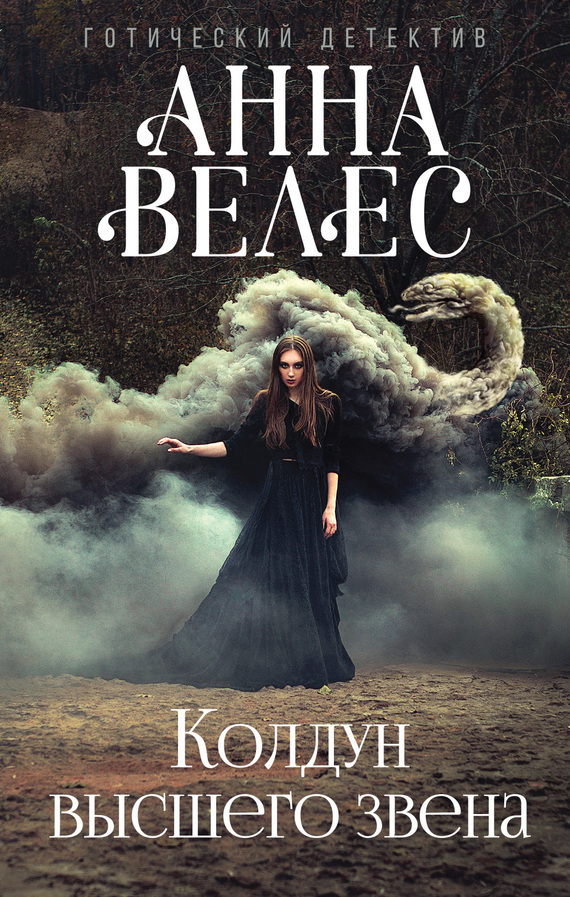 Обложка книги «Колдун высшего звена»