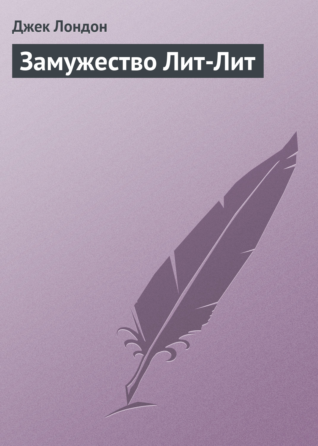 Обложка книги «Замужество Лит-Лит»