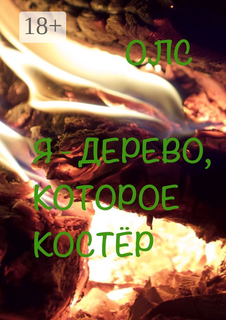 Обложка книги «Я – дерево, которое костёр»
