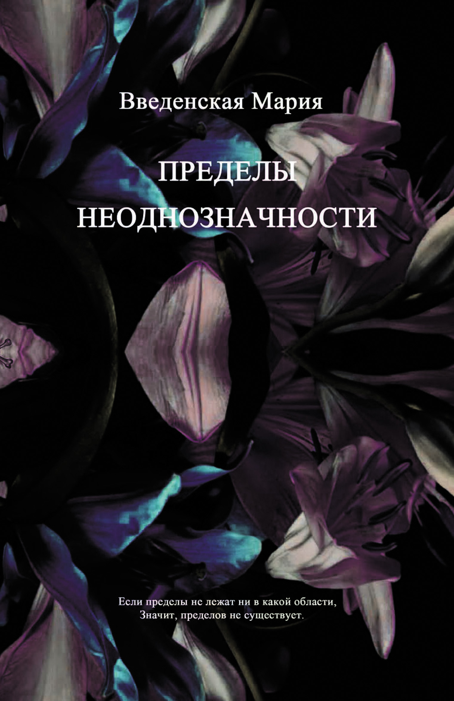 Обложка книги «Пределы неоднозначности»