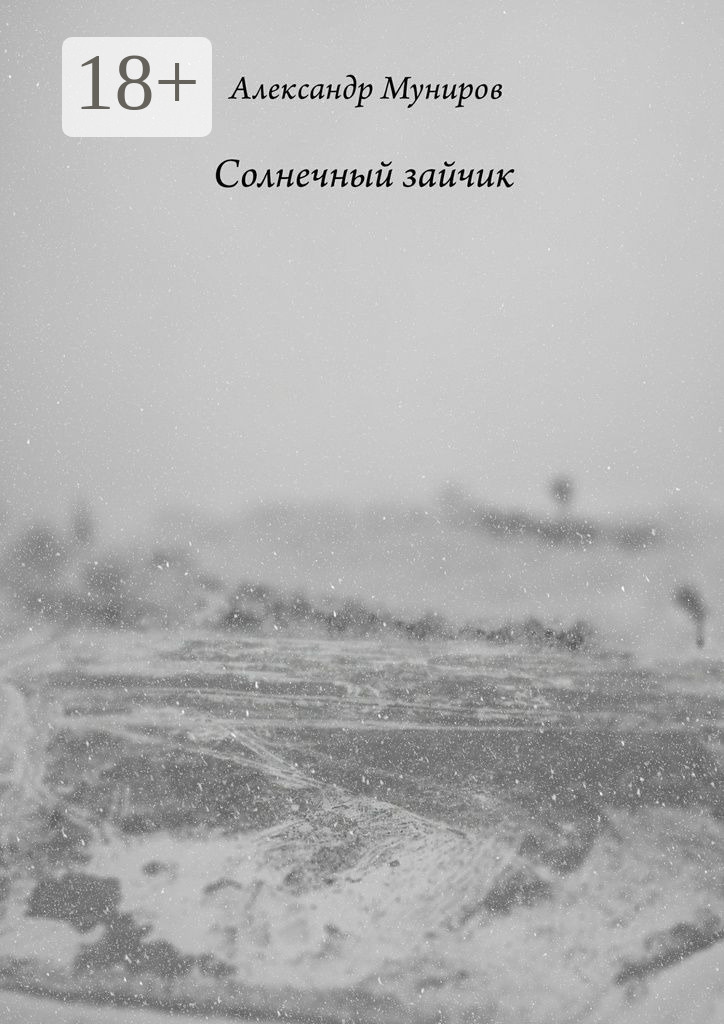 Обложка книги «Солнечный зайчик»