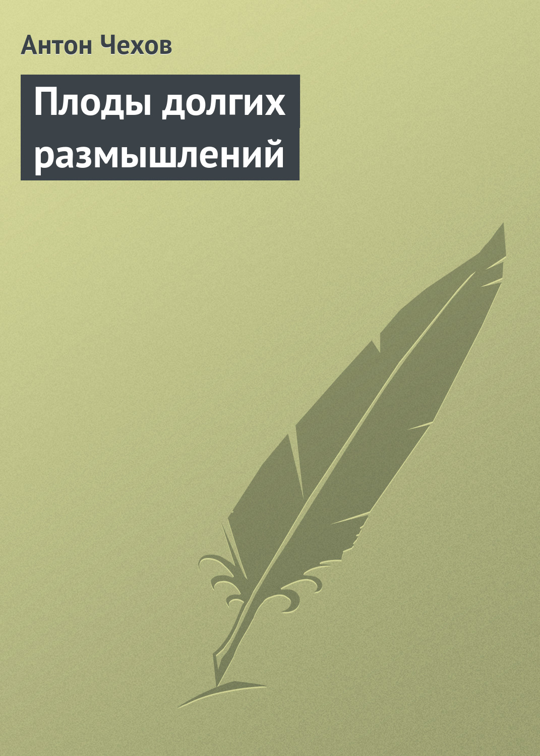 Обложка книги «Плоды долгих размышлений»