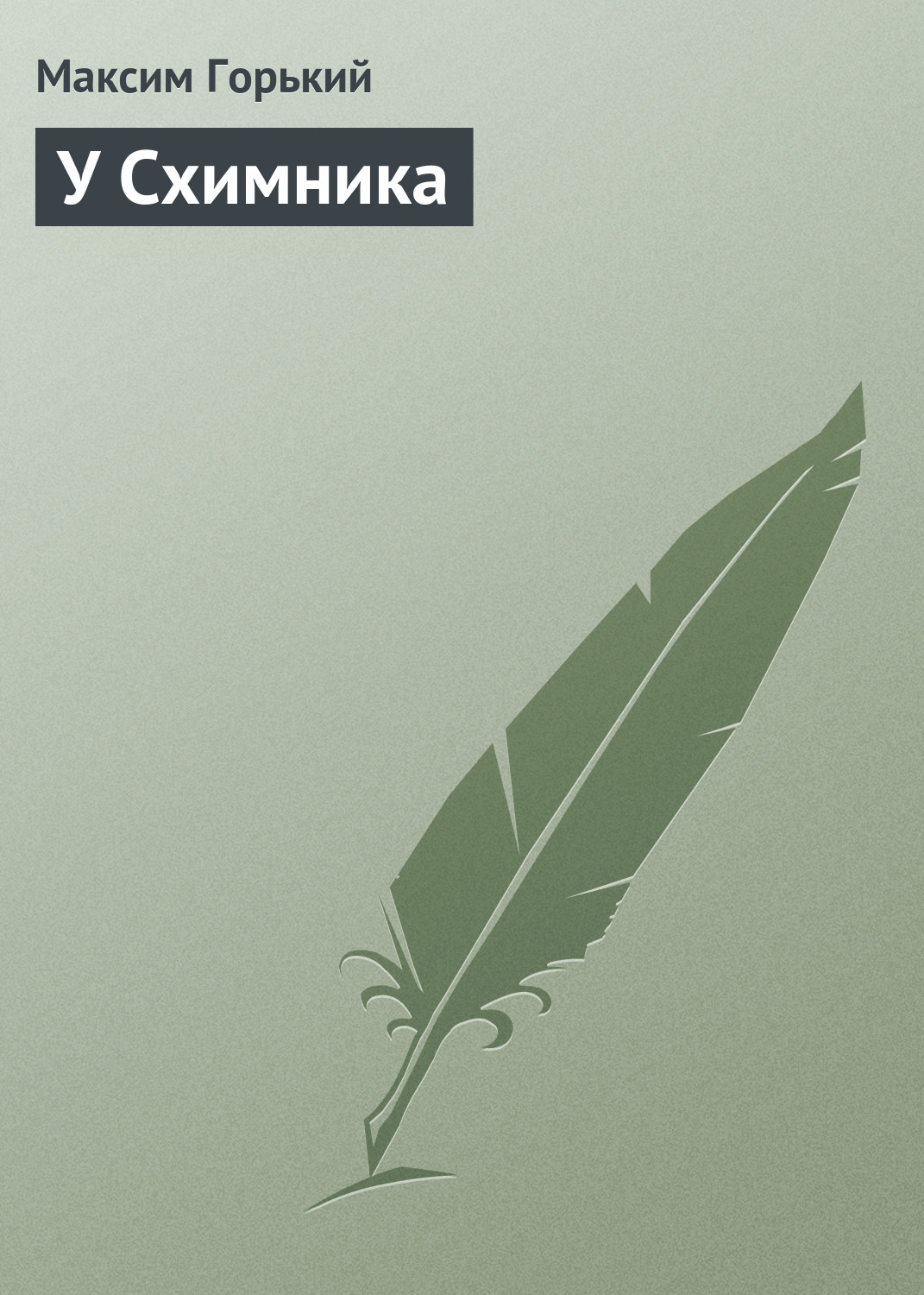 Обложка книги «У Схимника»