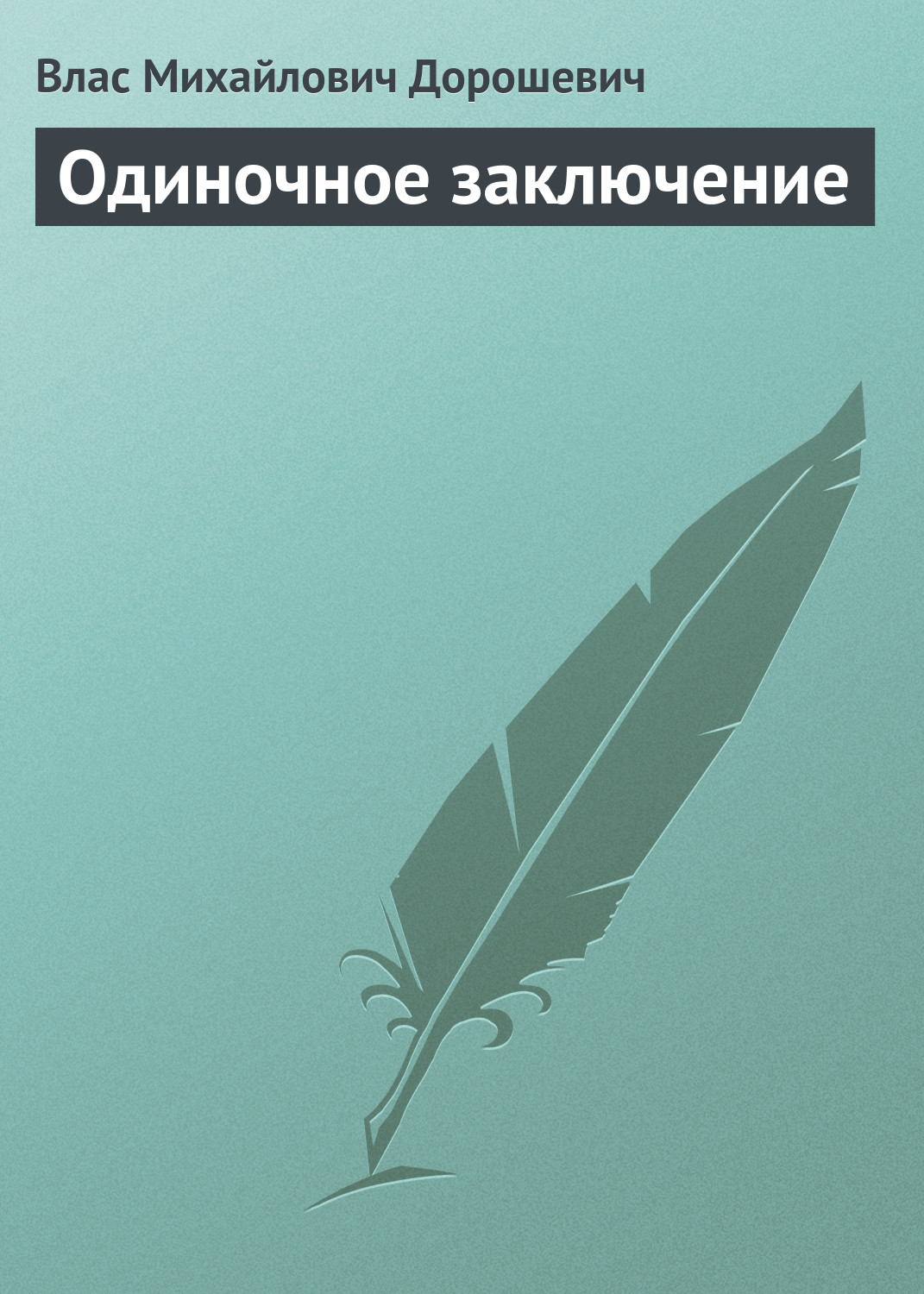 Обложка книги «Одиночное заключение»