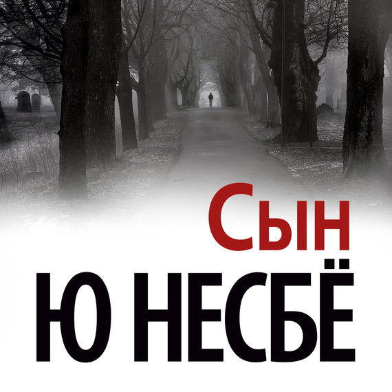 Обложка книги «Сын»