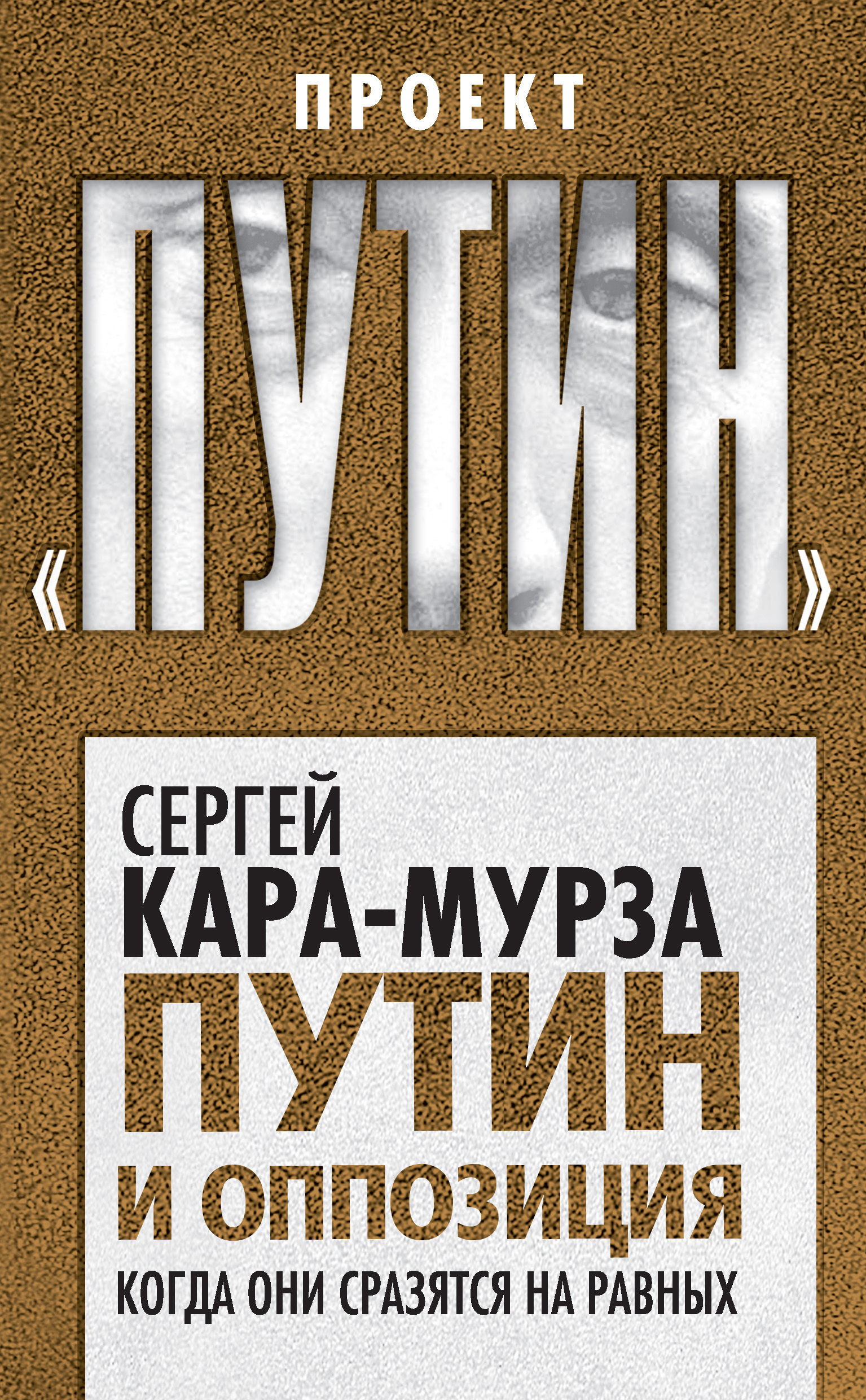 Обложка книги «Путин и оппозиция. Когда они сразятся на равных»